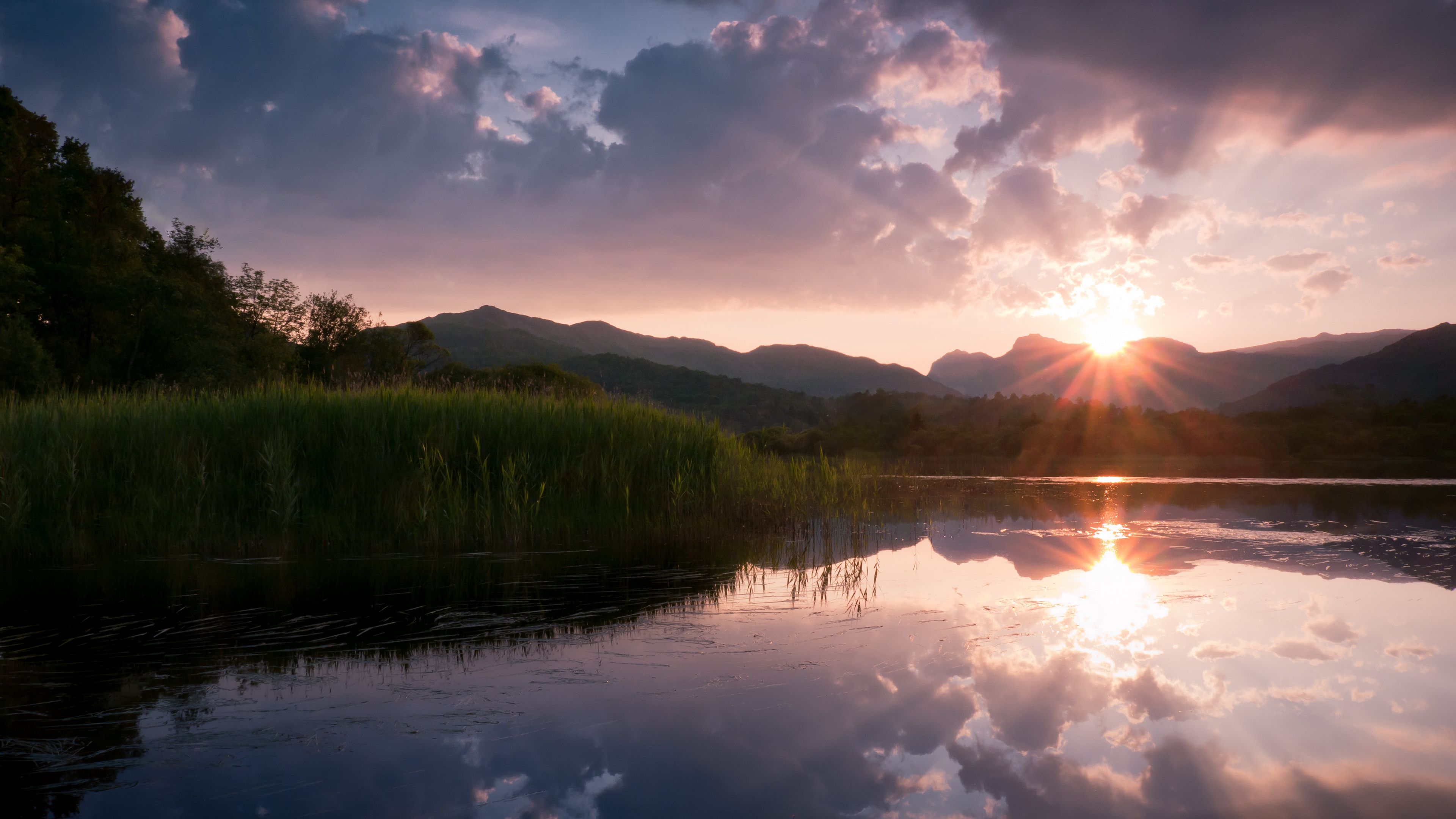 canes, lake, sun, 4k, HD Wallpaper