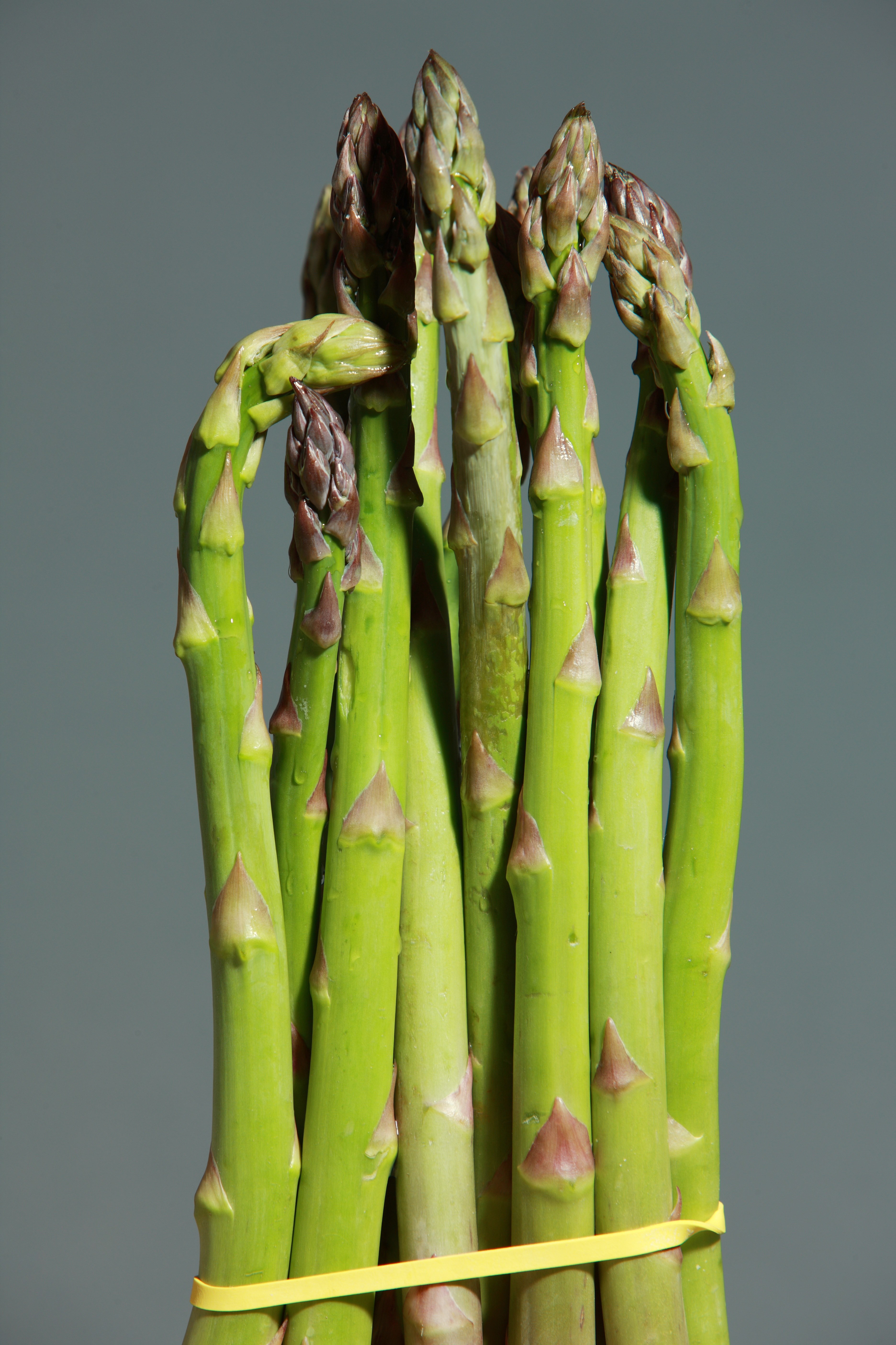 green asparagus asparagus green vegetables eat 4k, Phone HD Wallpaper