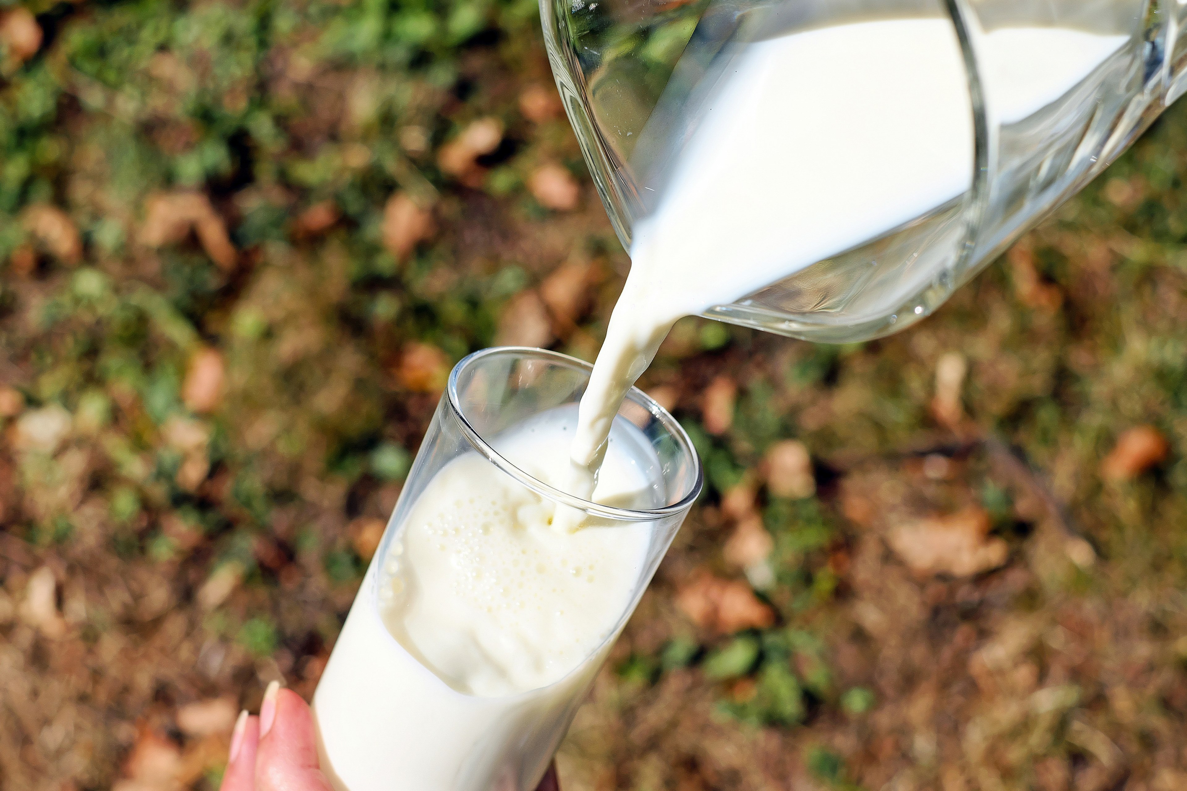 glass milk white cows milk pour a drink 4k, HD Wallpaper