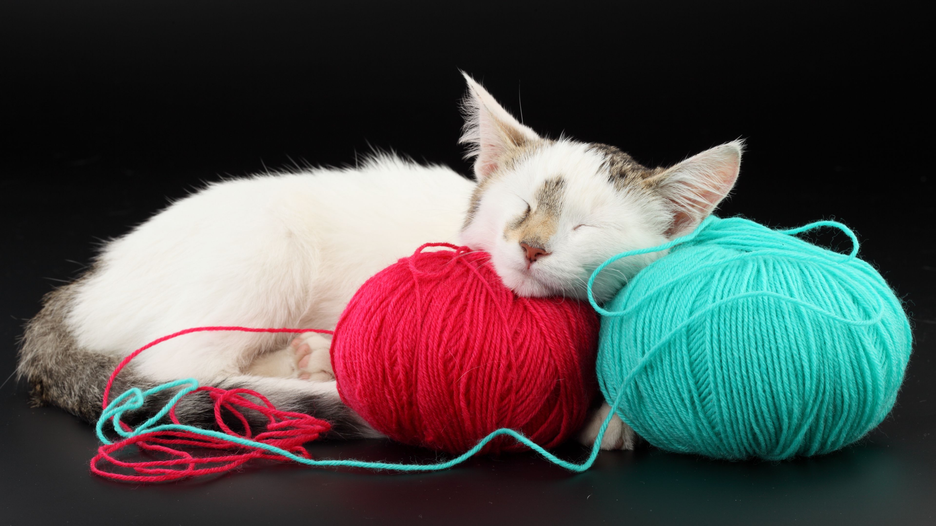 cat, ball, thread, sleep, playful, 4k, HD Wallpaper
