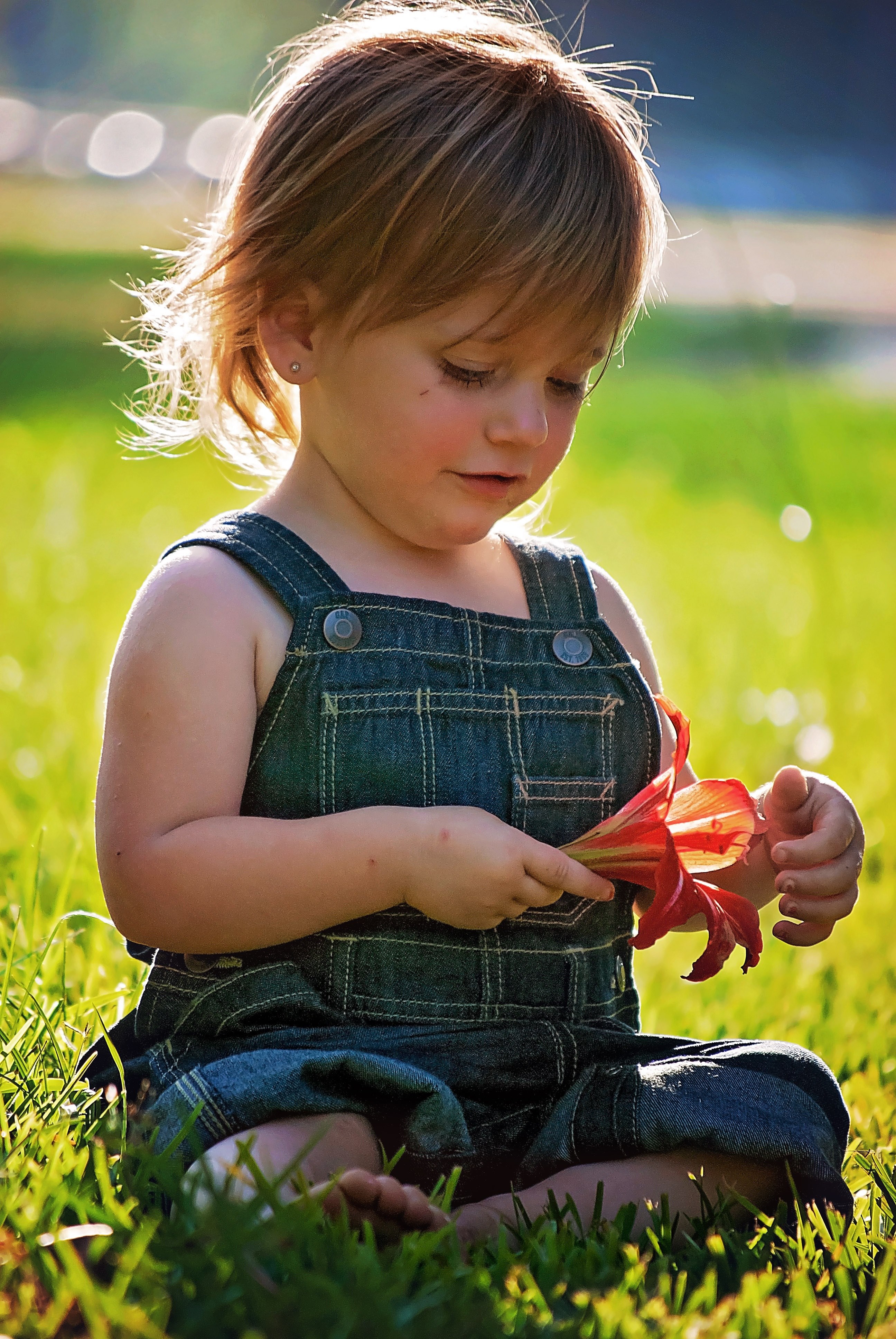 girl sitting flower red baby toddler portrait 4k, Phone HD Wallpaper