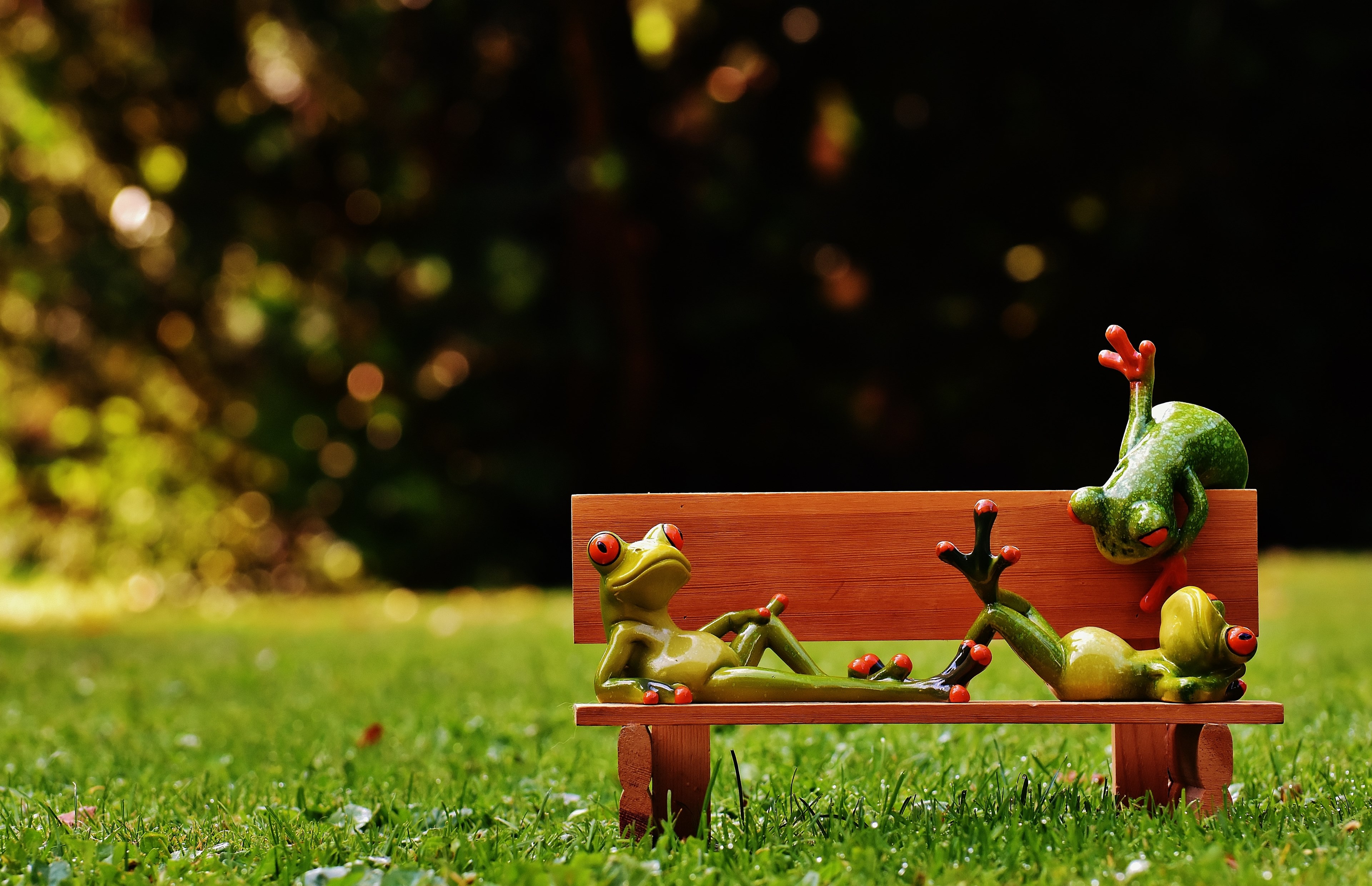 frogs bank bench relaxed figure funny rest 4k, HD Wallpaper