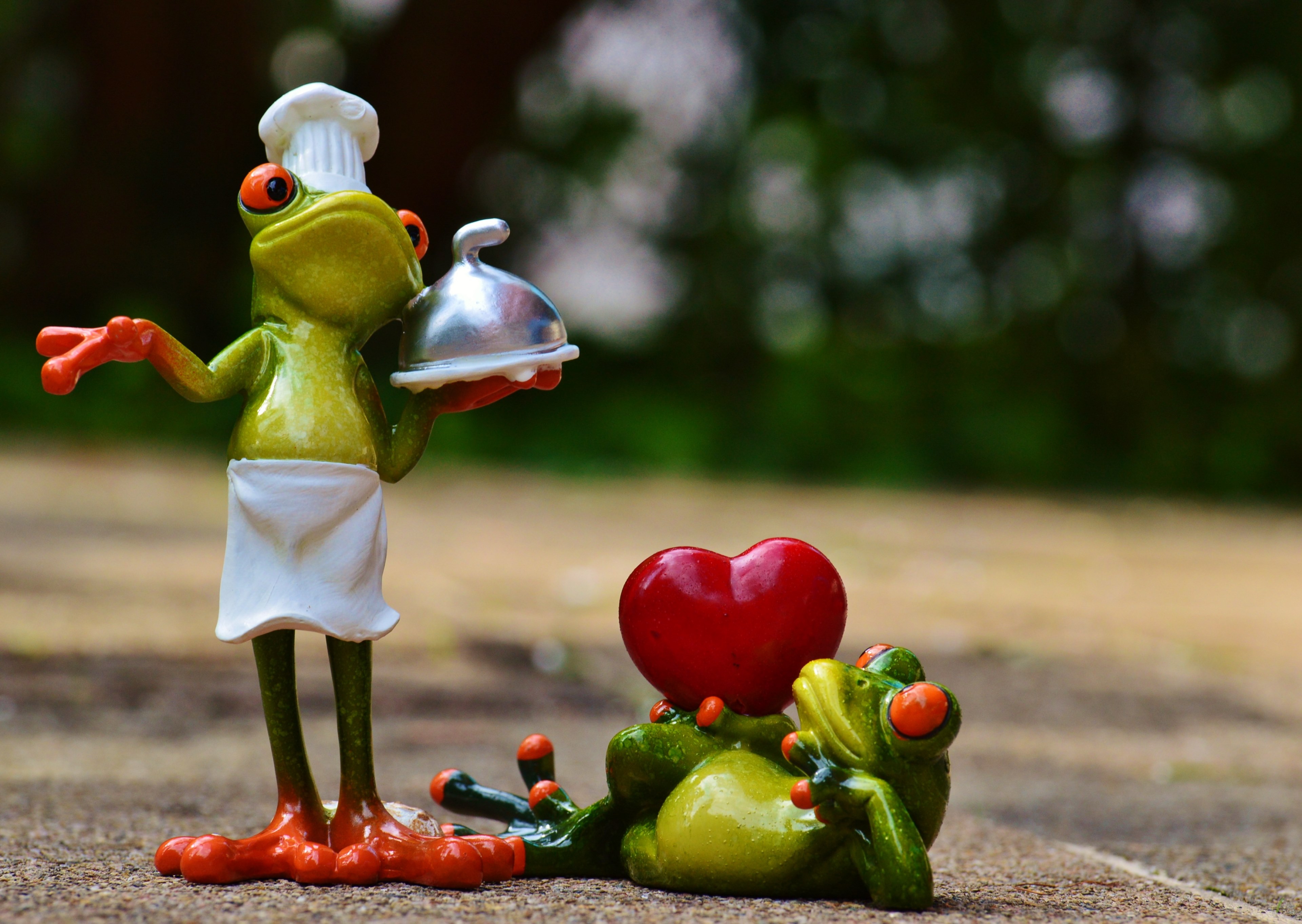 frog cooking love valentines day eat kitchen 4k, HD Wallpaper