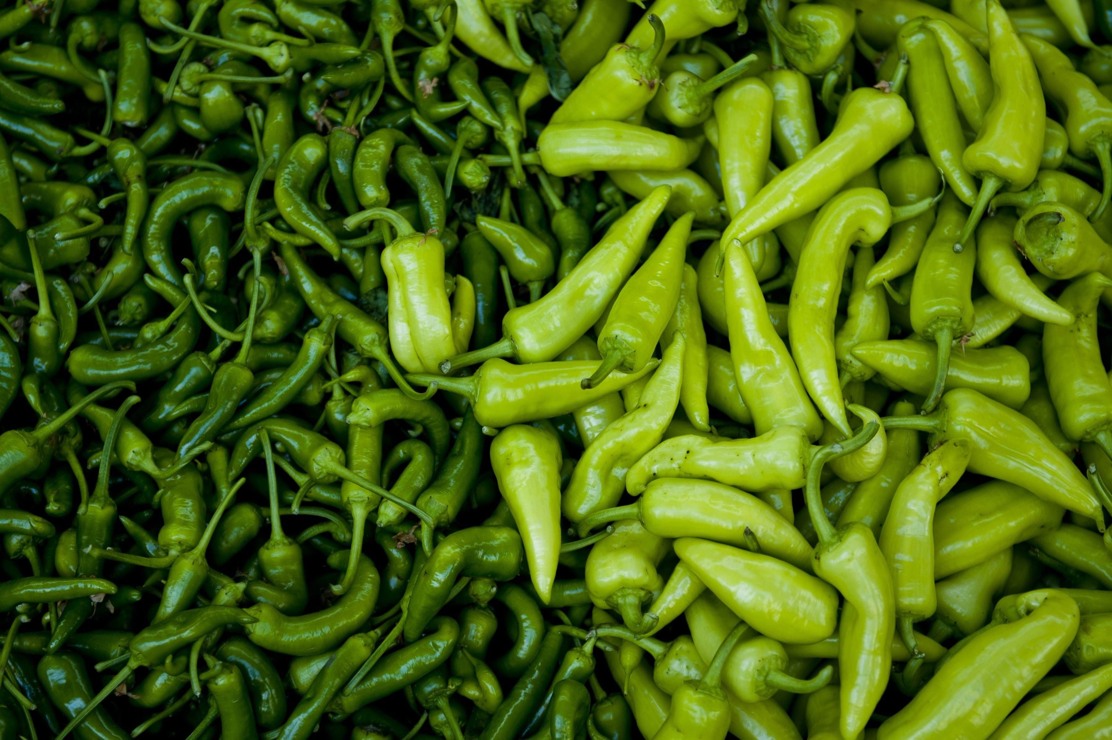 fresh peppers farmers market open air green red 4k, HD Wallpaper