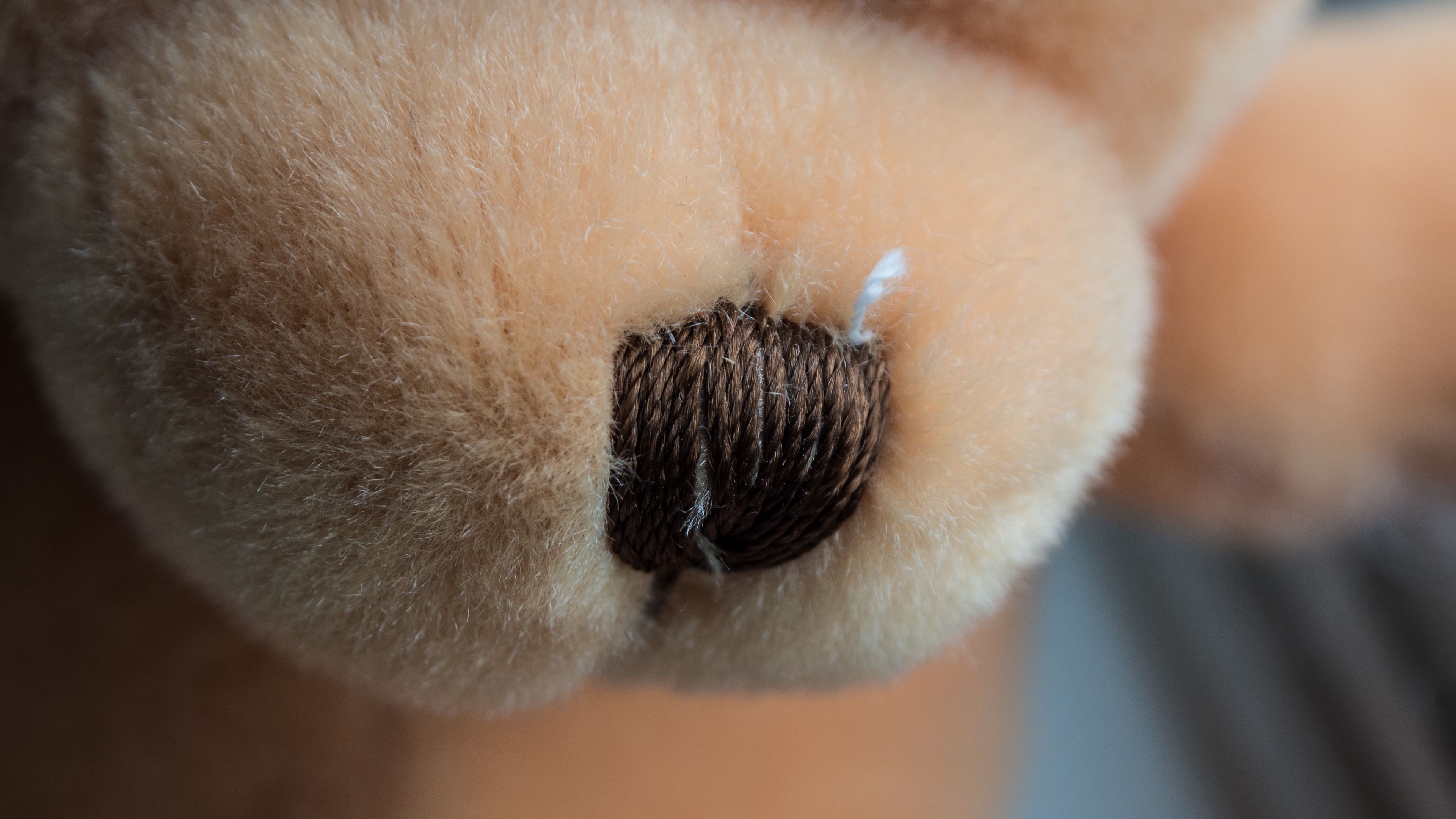 teddy bear, nose, muzzle, material, 4k, HD Wallpaper