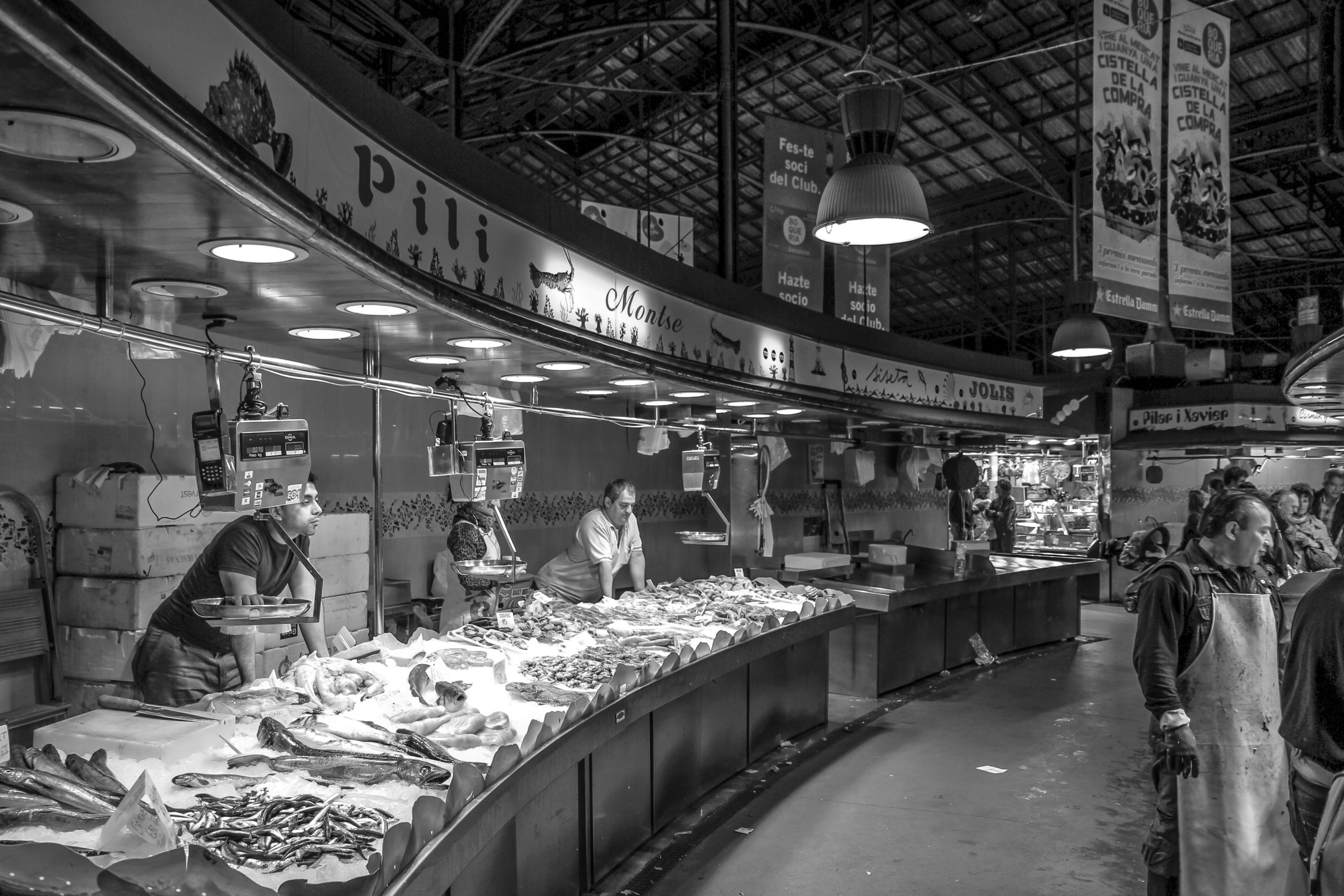 fish market seafood fish called rothmans 4k, HD Wallpaper