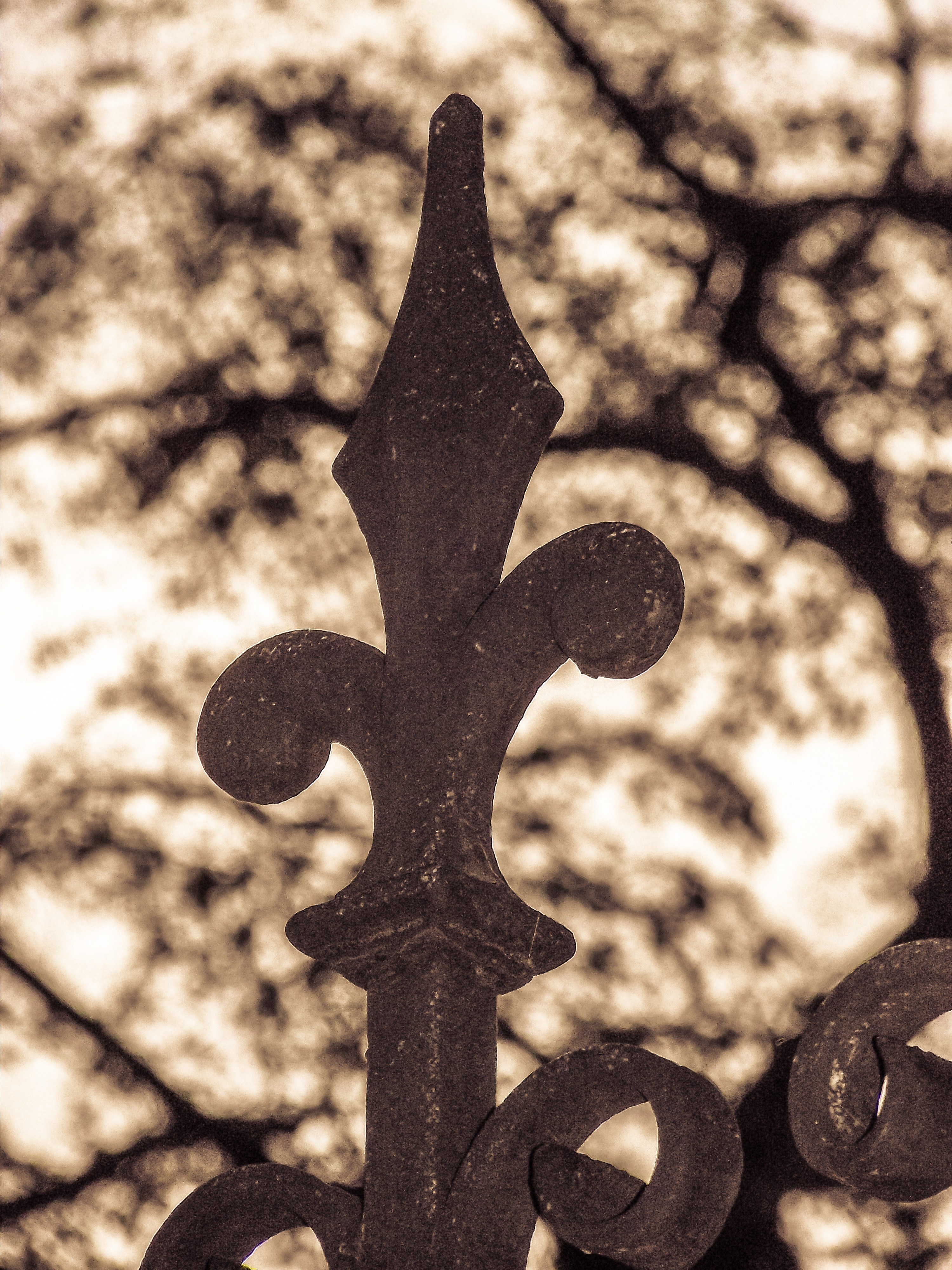 fence fence top austria wiener neustadt metal iron 4k, Phone HD Wallpaper