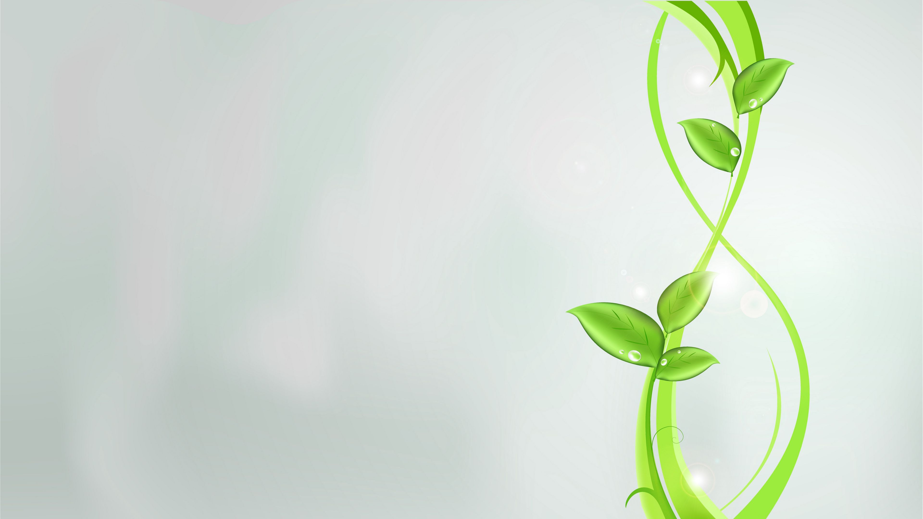 plants, green, abstract, leaves, patterns, bright, glare, 4k, HD Wallpaper