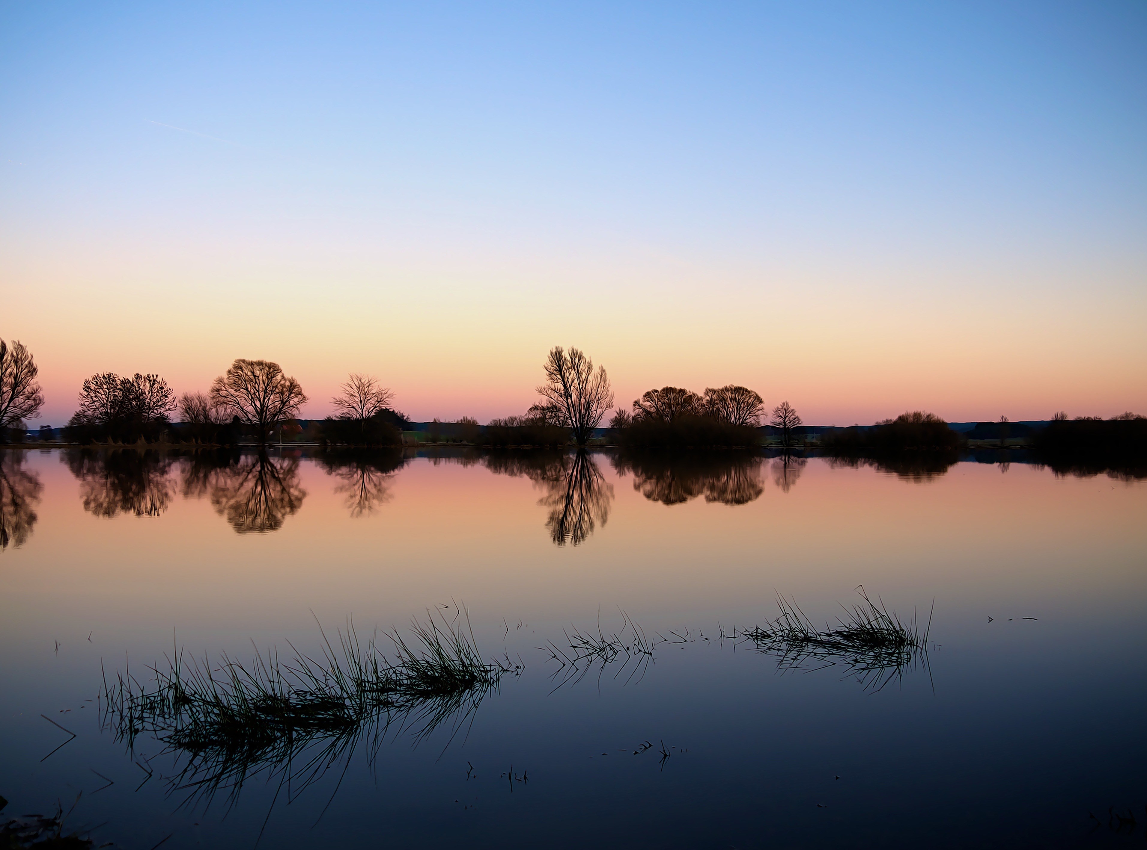 evening tree silhouette background atmosphere mood 4k, HD Wallpaper