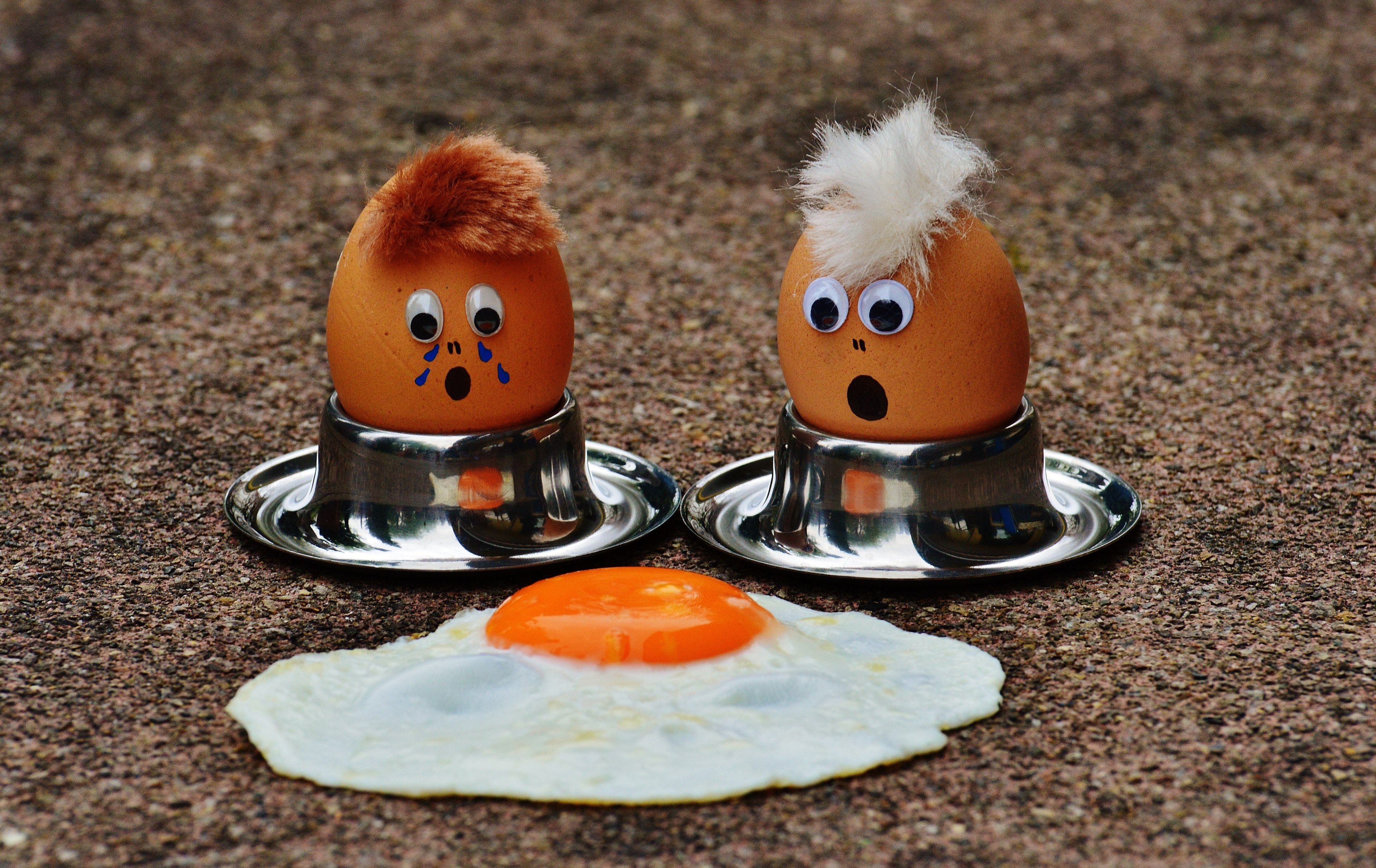 egg fried mourning fun funny cute food yolk 4k, HD Wallpaper