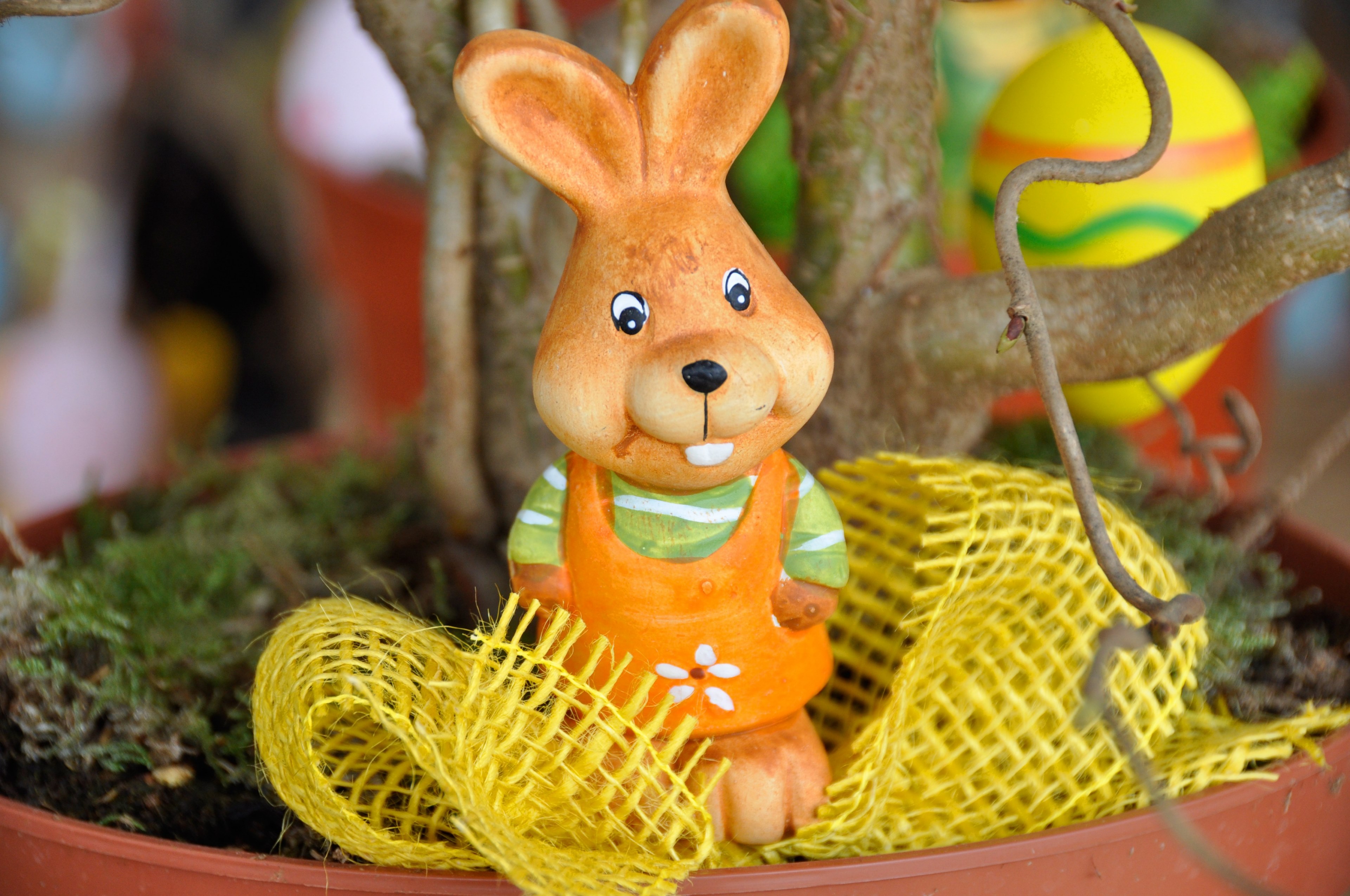 easter hare easter bunny 4k, HD Wallpaper