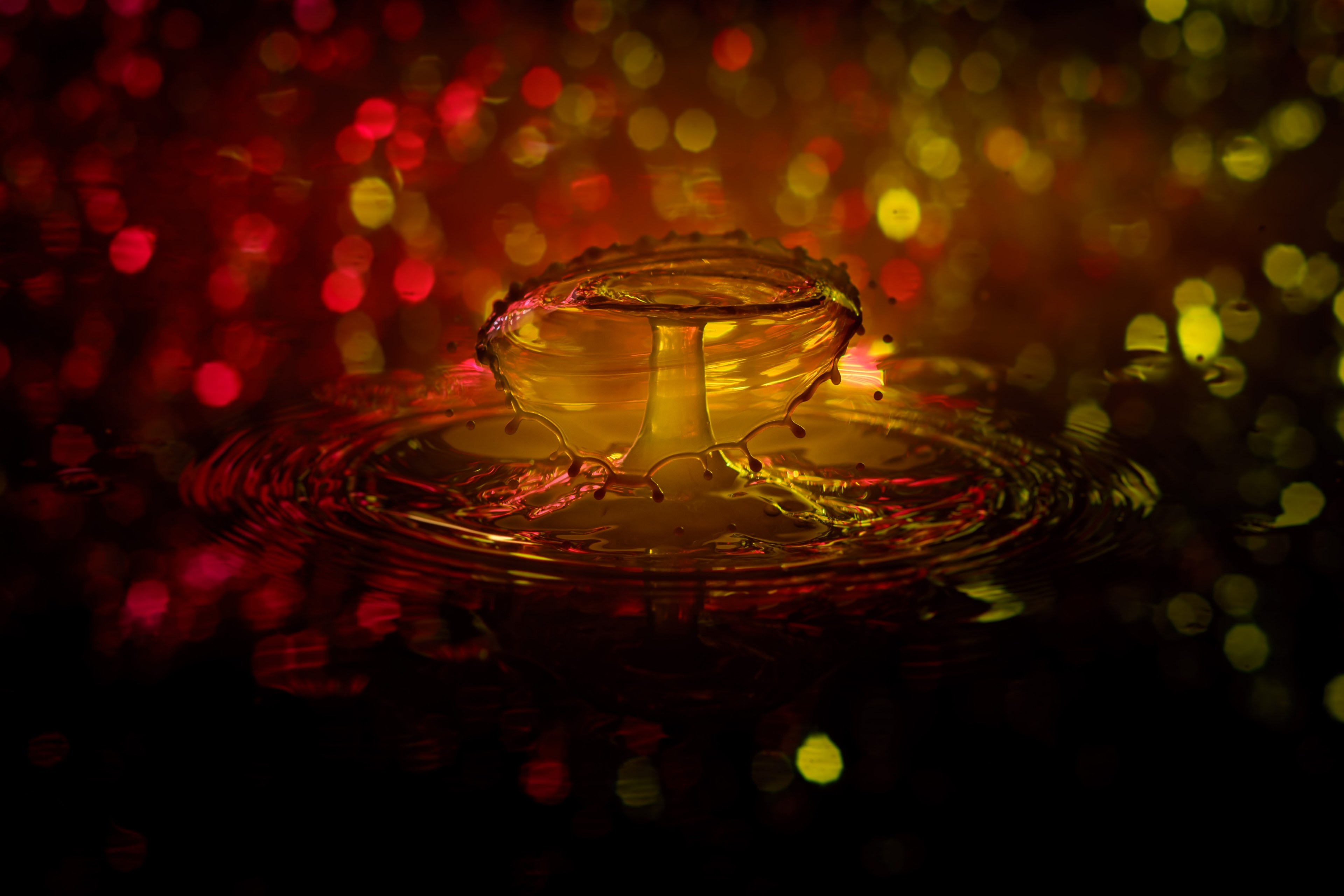 drip water drop of water water feature spray 4k, HD Wallpaper