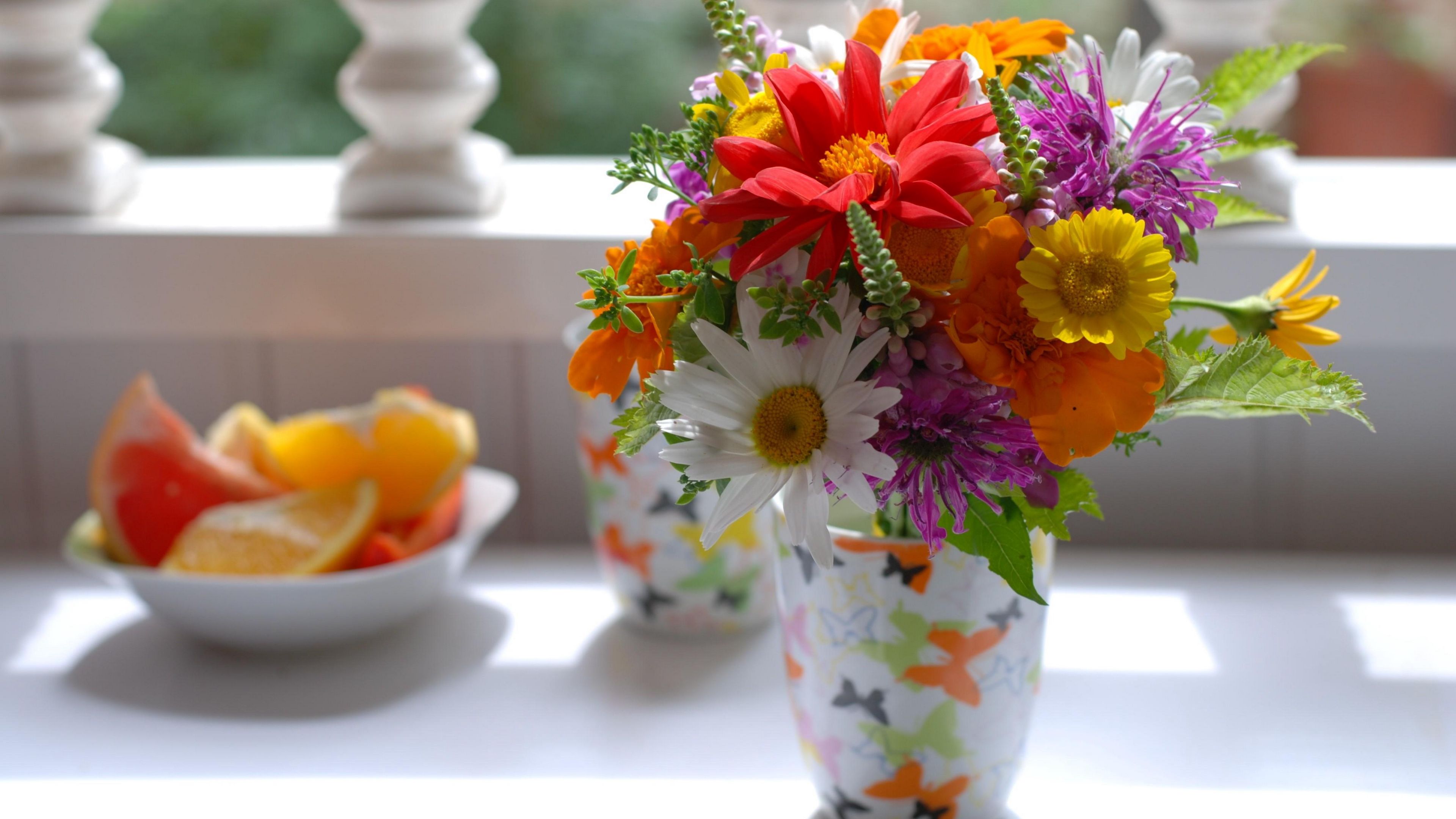 chamomile, flowers, lupine, flower, citrus, blurring, 4k, HD Wallpaper