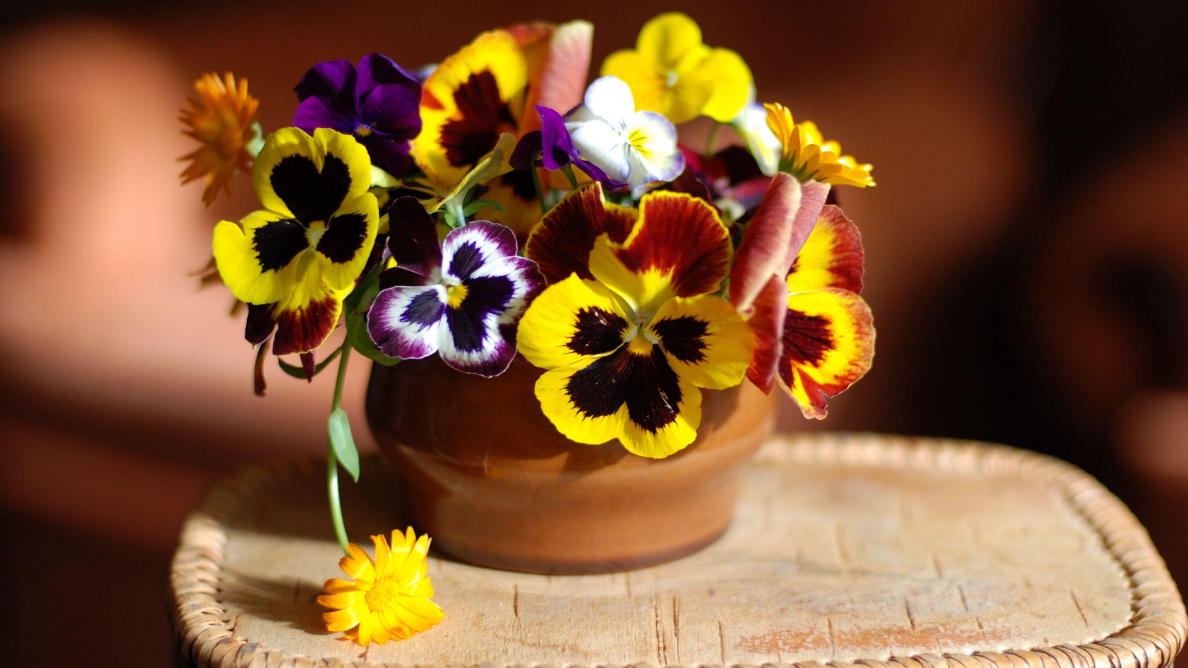 pansies, flowers, vase, stand, 4k, HD Wallpaper