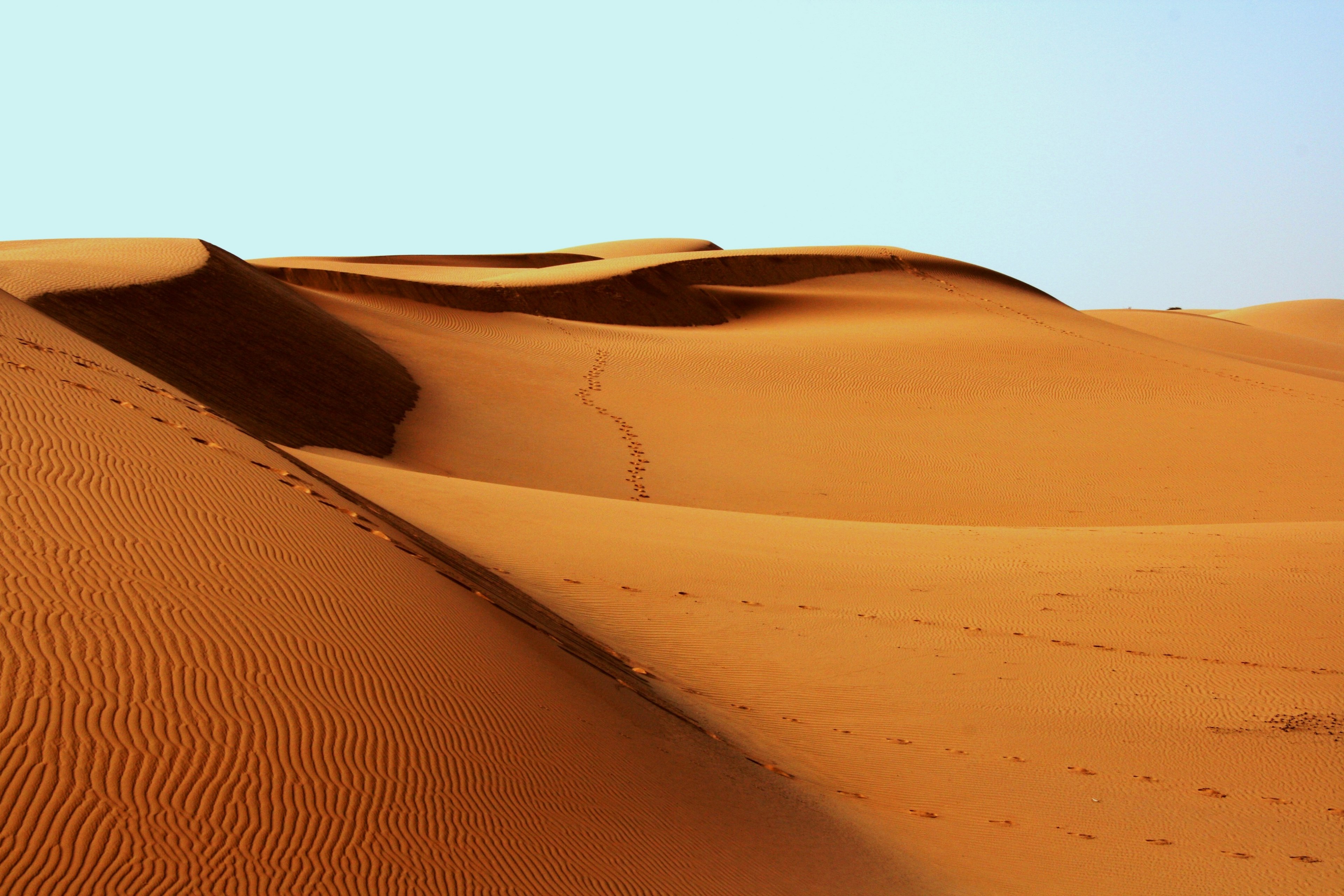 desert africa bedouin footprints sand 4k, HD Wallpaper