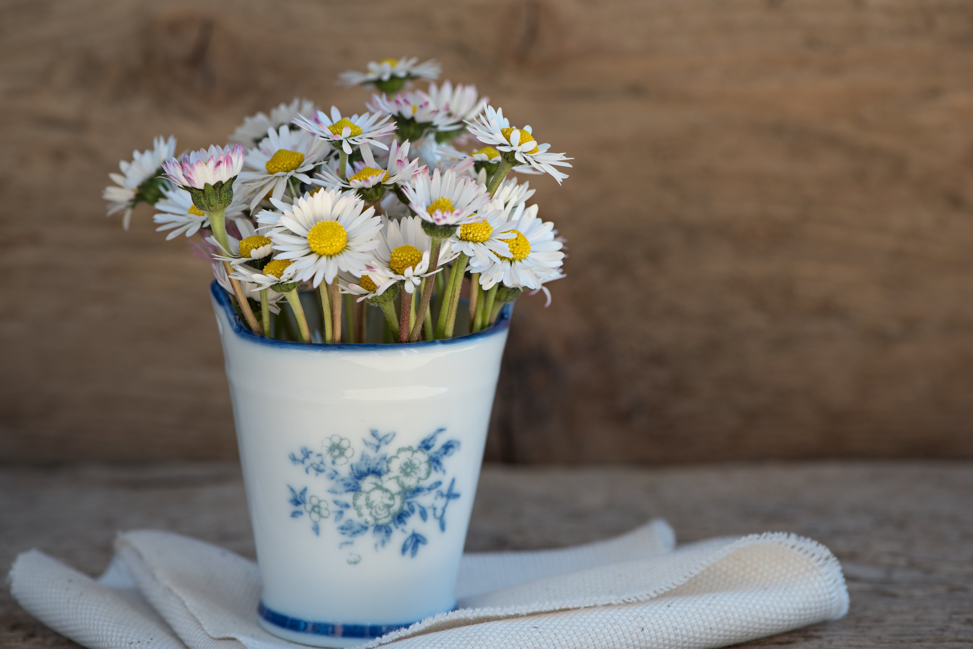 daisy pointed flower flower white vase vessel 4k, HD Wallpaper
