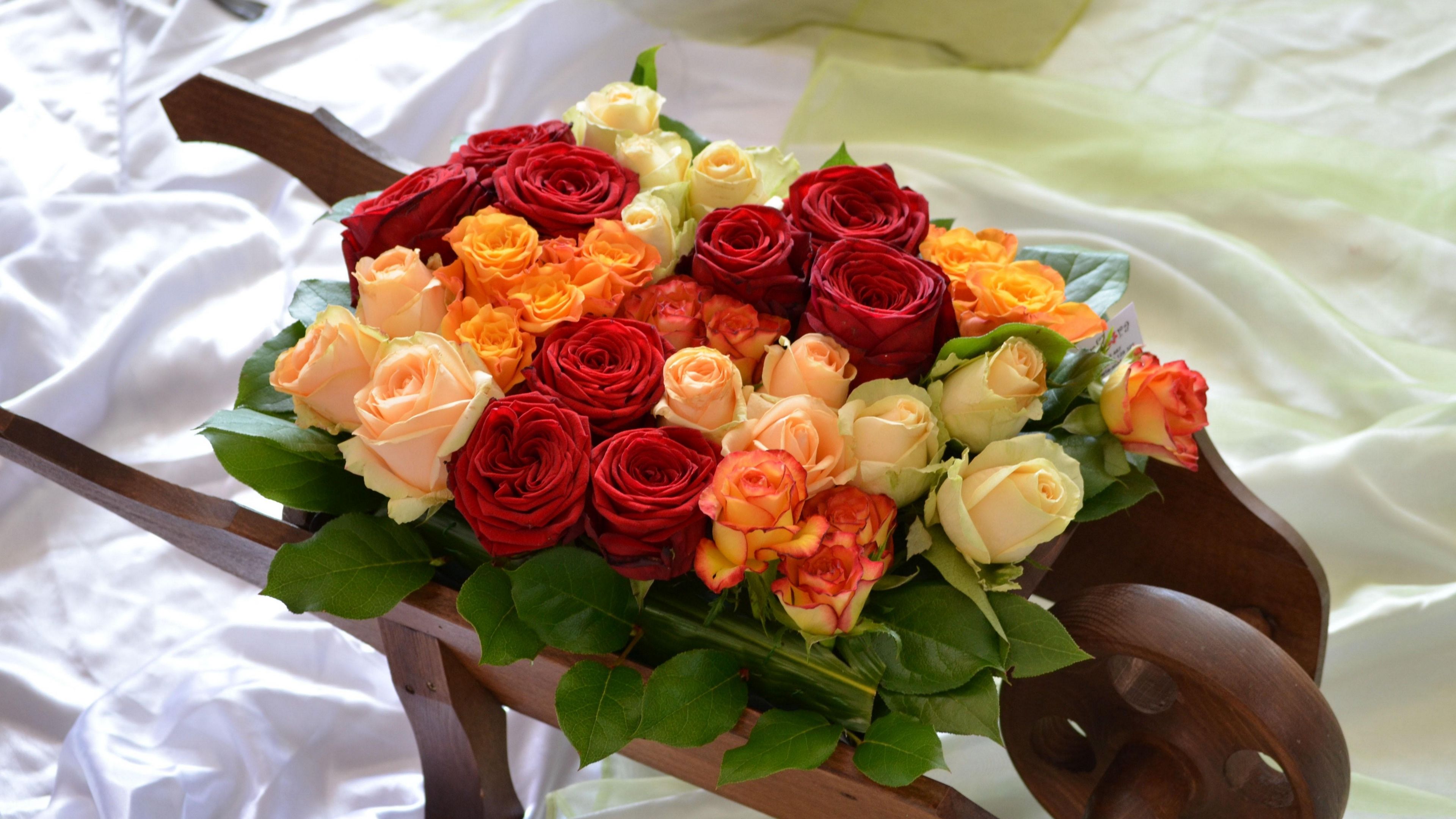 roses, flowers, buds, different, cart, note, bed, 4k, HD Wallpaper