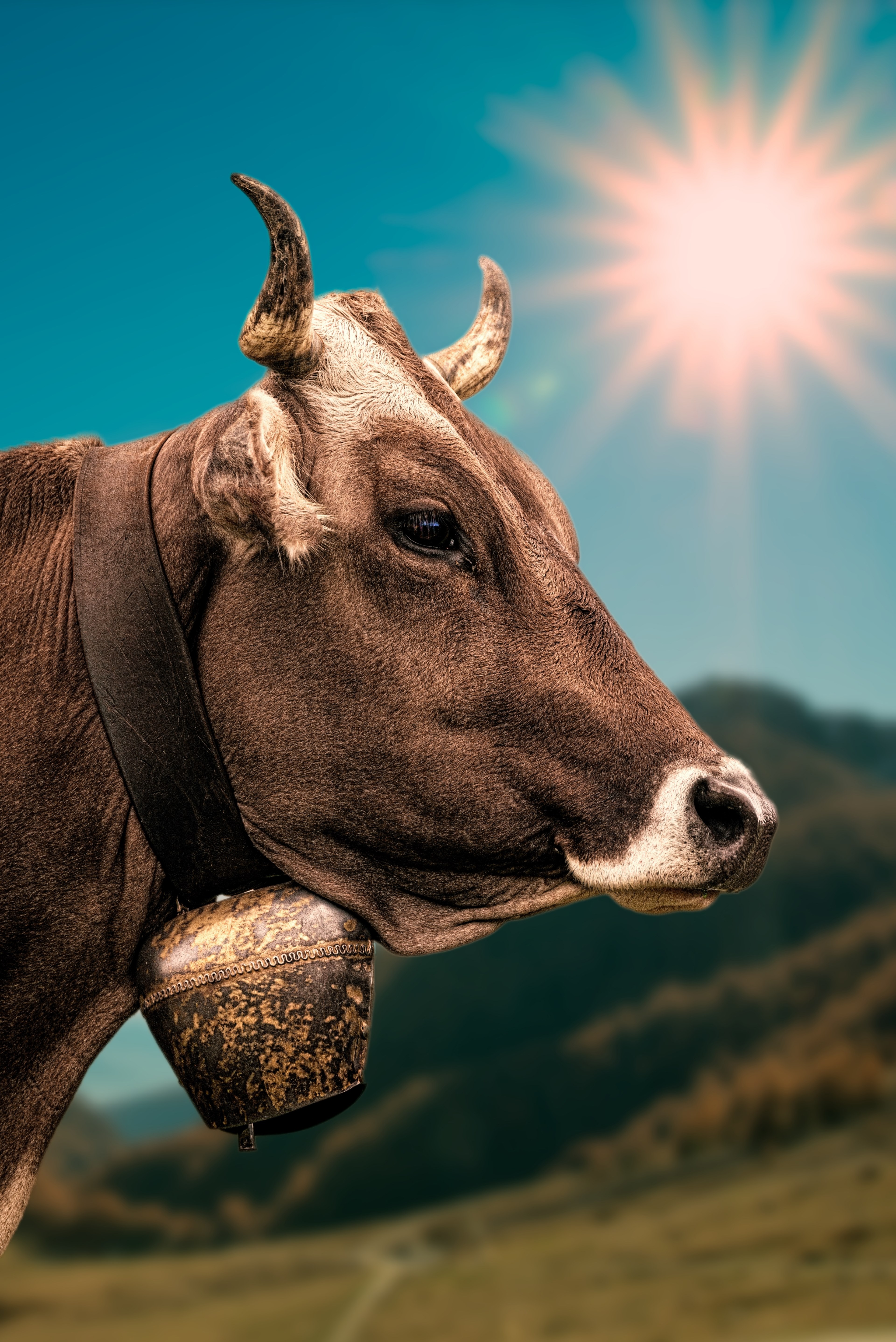 cow bell alpine sunbeam cross balance 4k, Phone HD Wallpaper