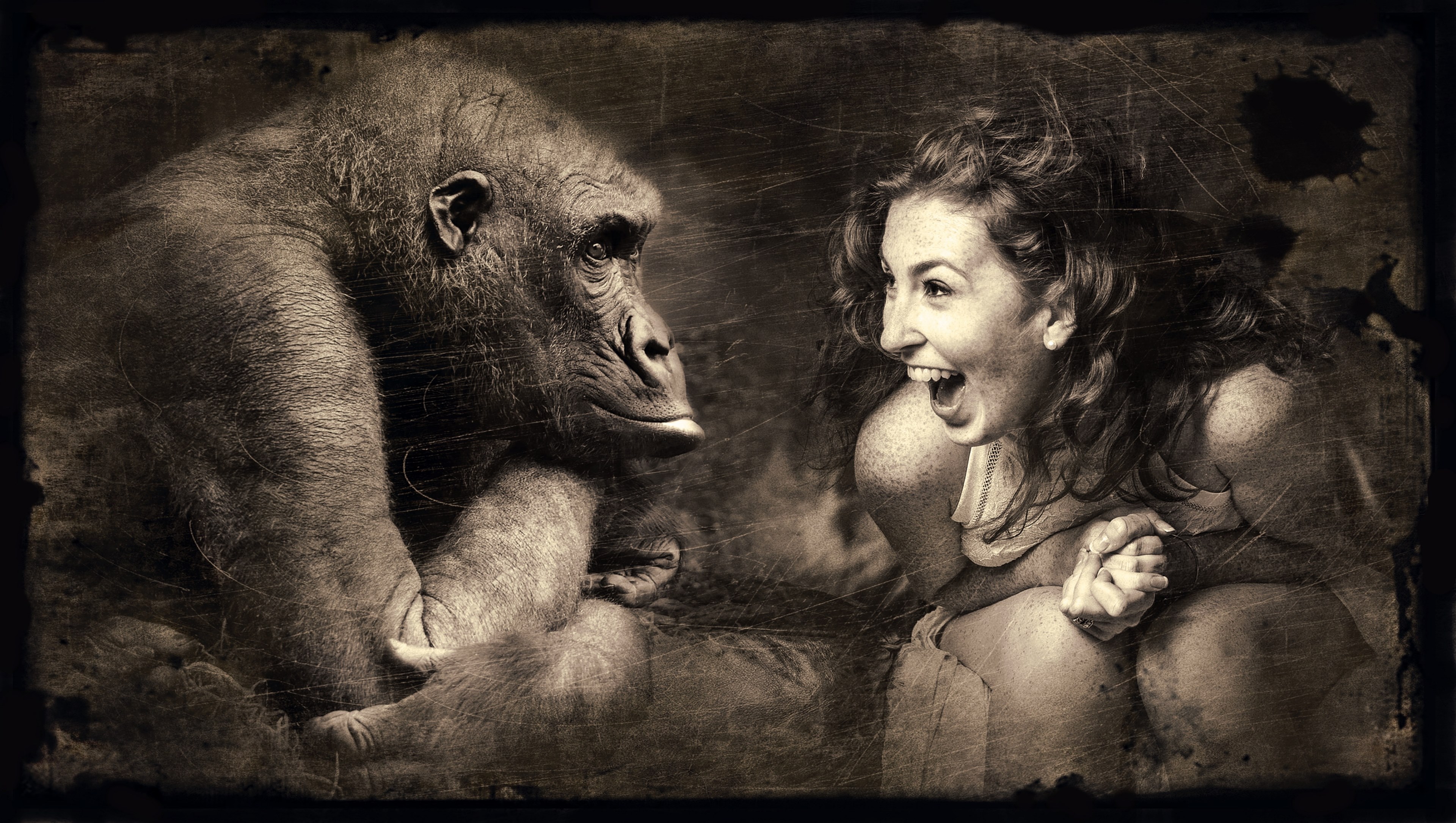 composing monkey woman laugh old photo sepia 4k, HD Wallpaper