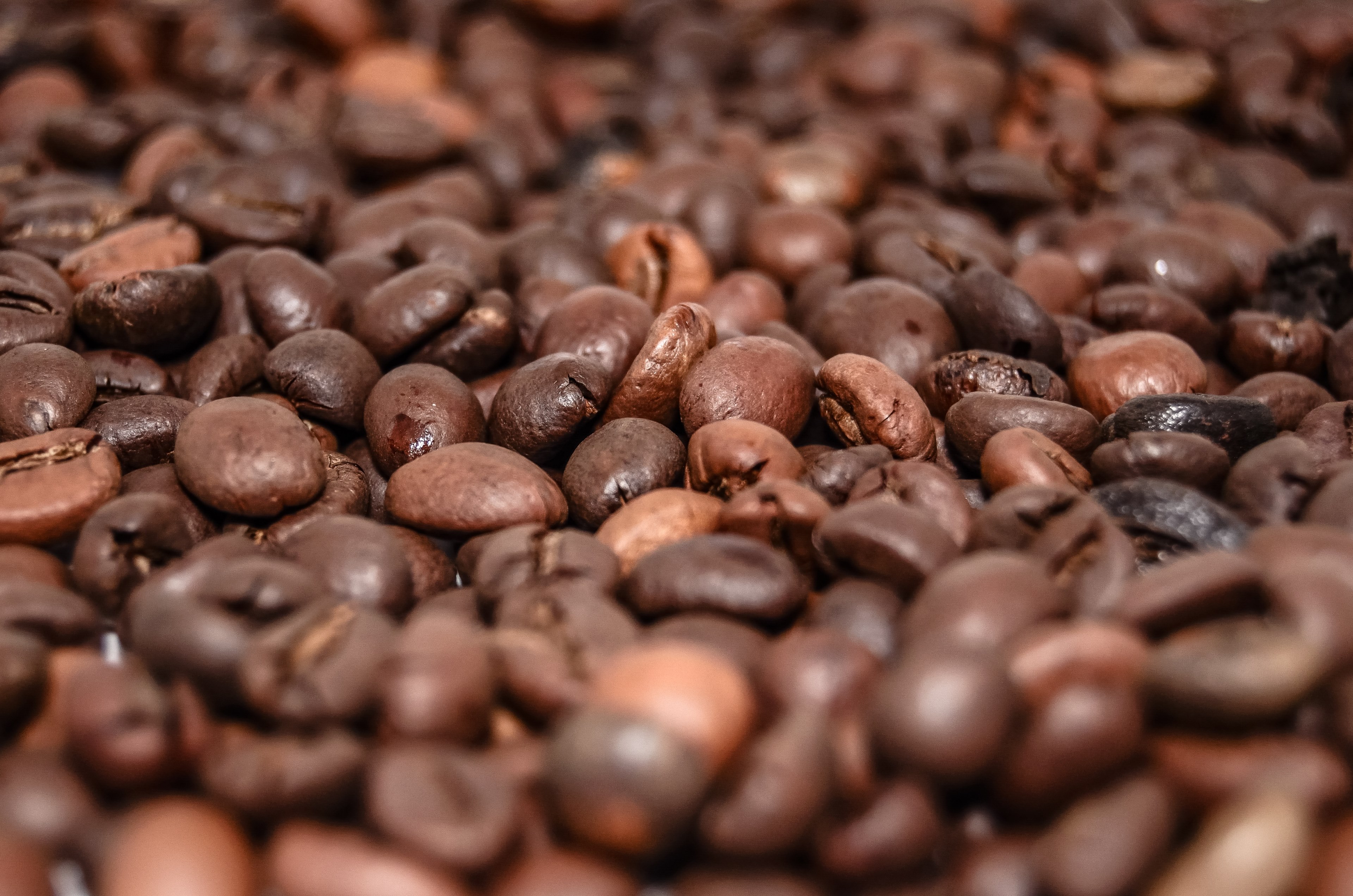 coffee beans coffee the drink caffeine the brew 4k, HD Wallpaper
