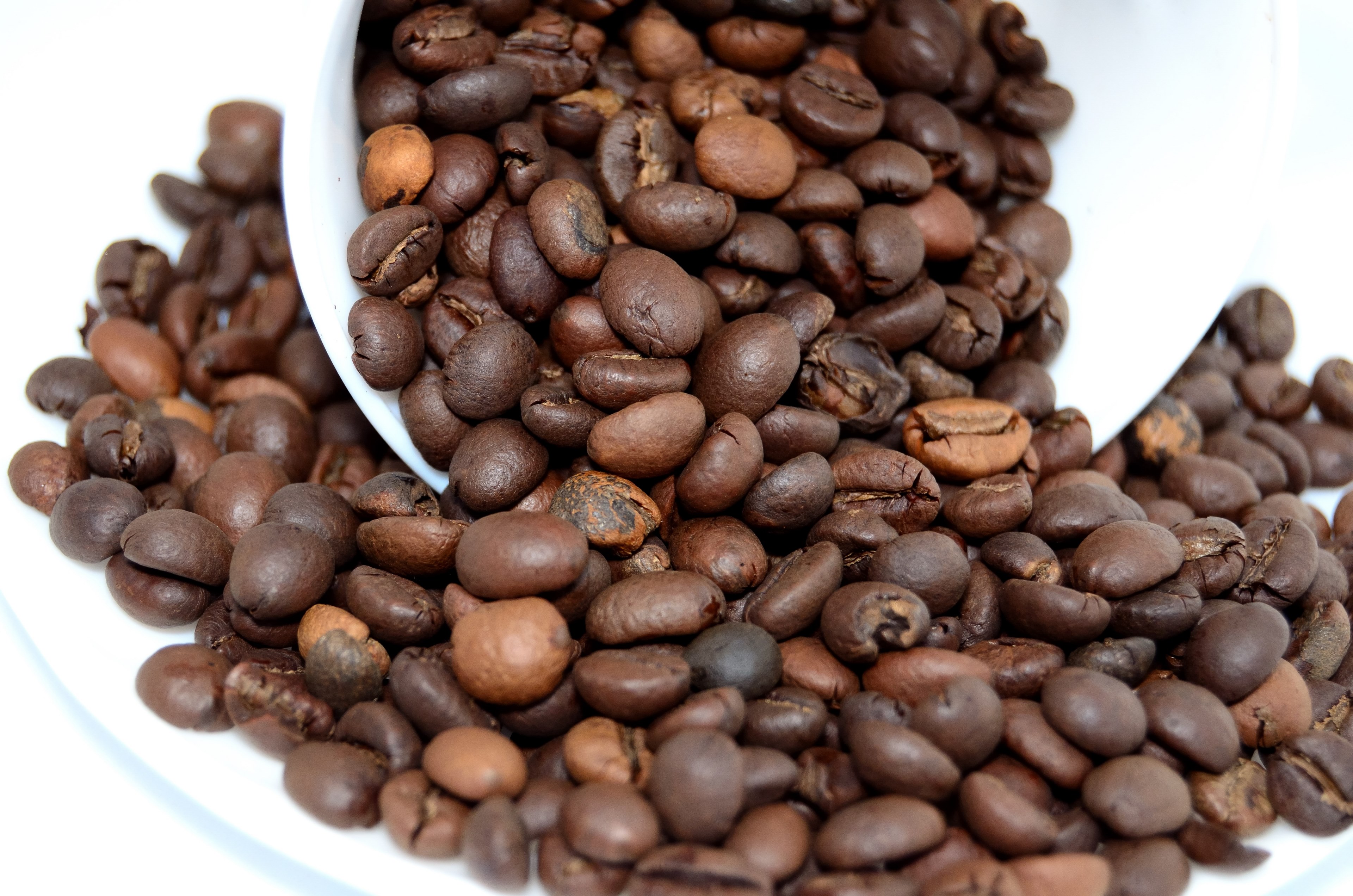 coffee beans coffee the drink caffeine the brew 4k, HD Wallpaper