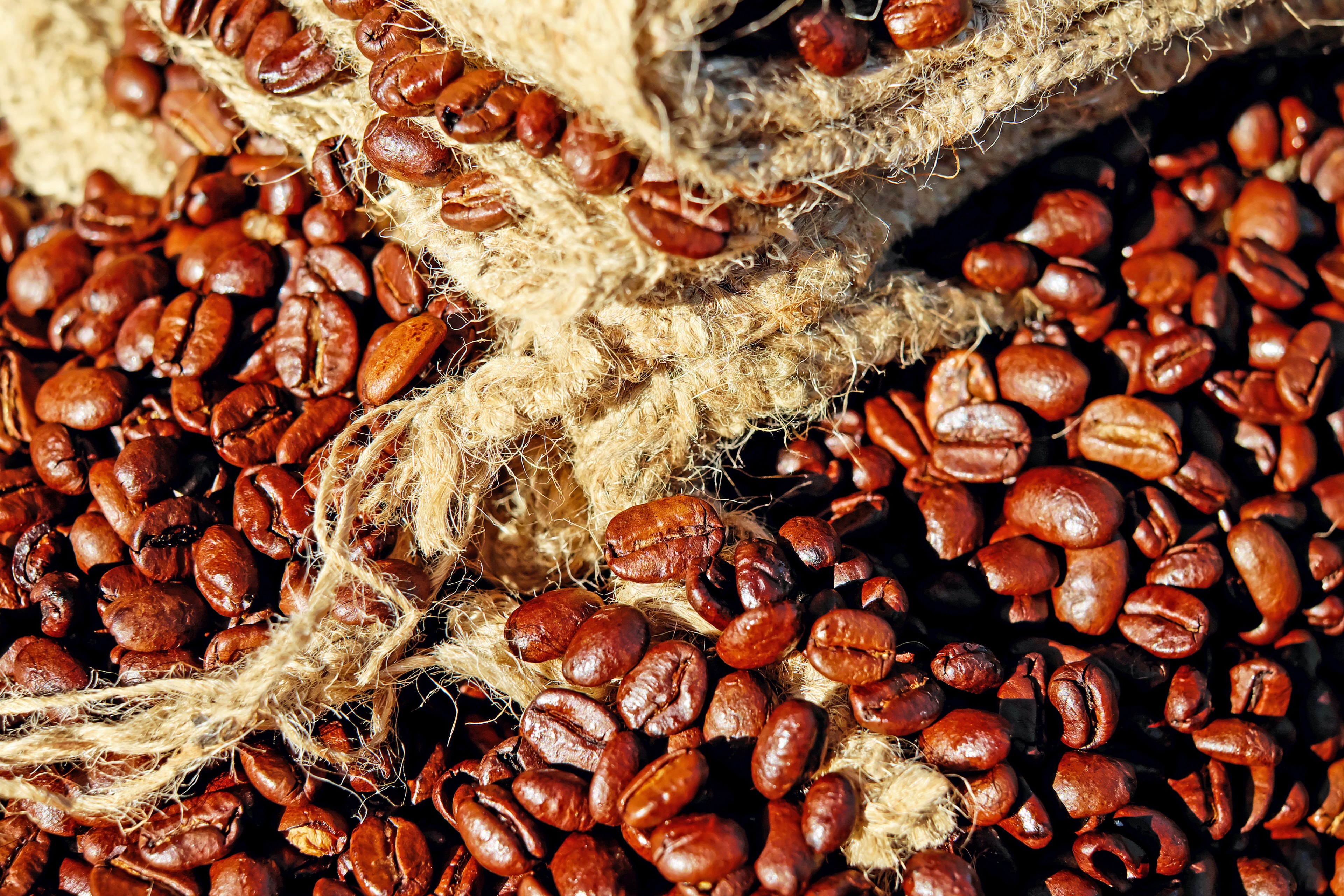 coffee beans coffee beans caffeine roasting aroma 4k, HD Wallpaper