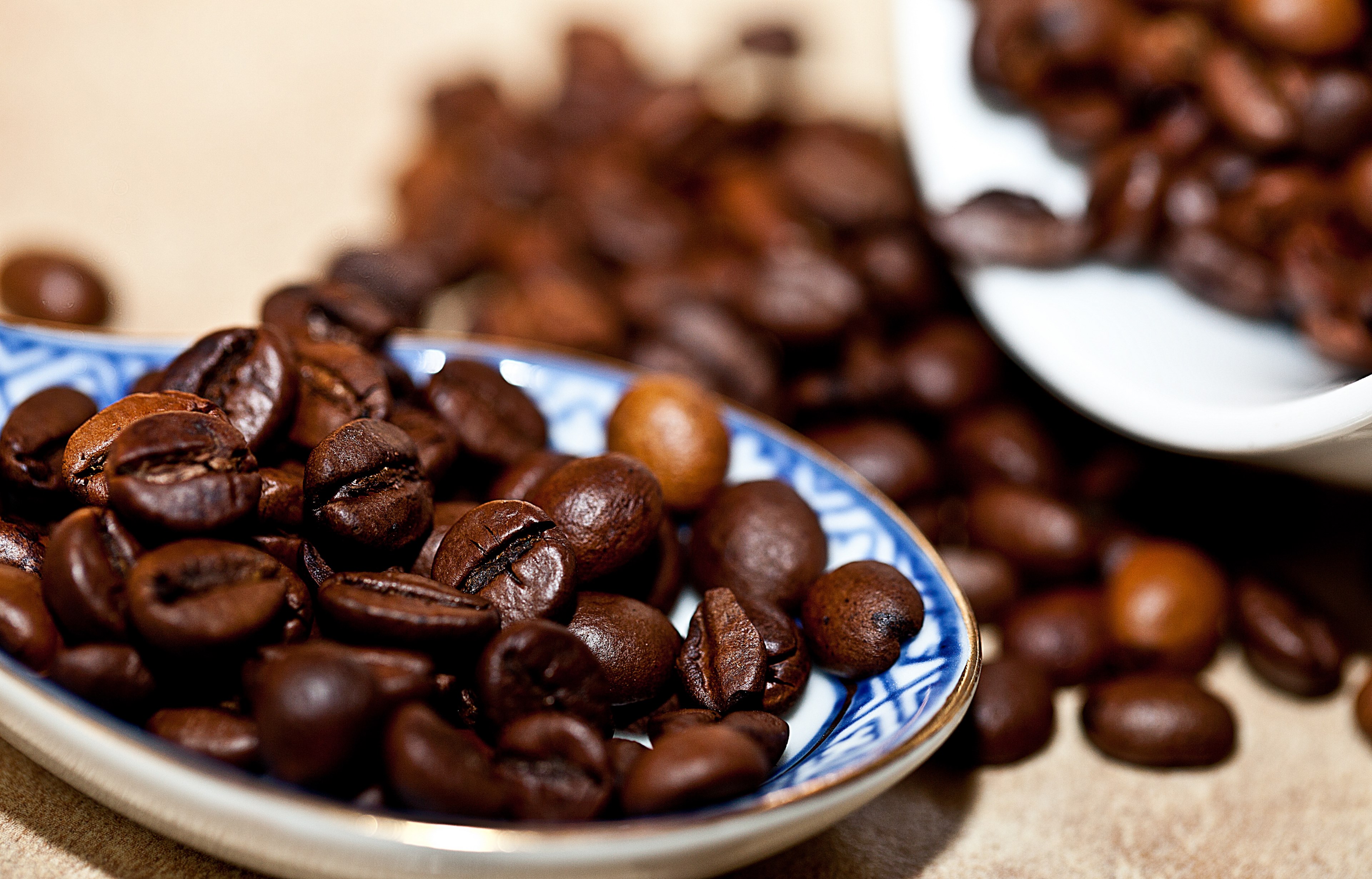 coffee coffee beans grain coffee roasted coffee 4k, HD Wallpaper