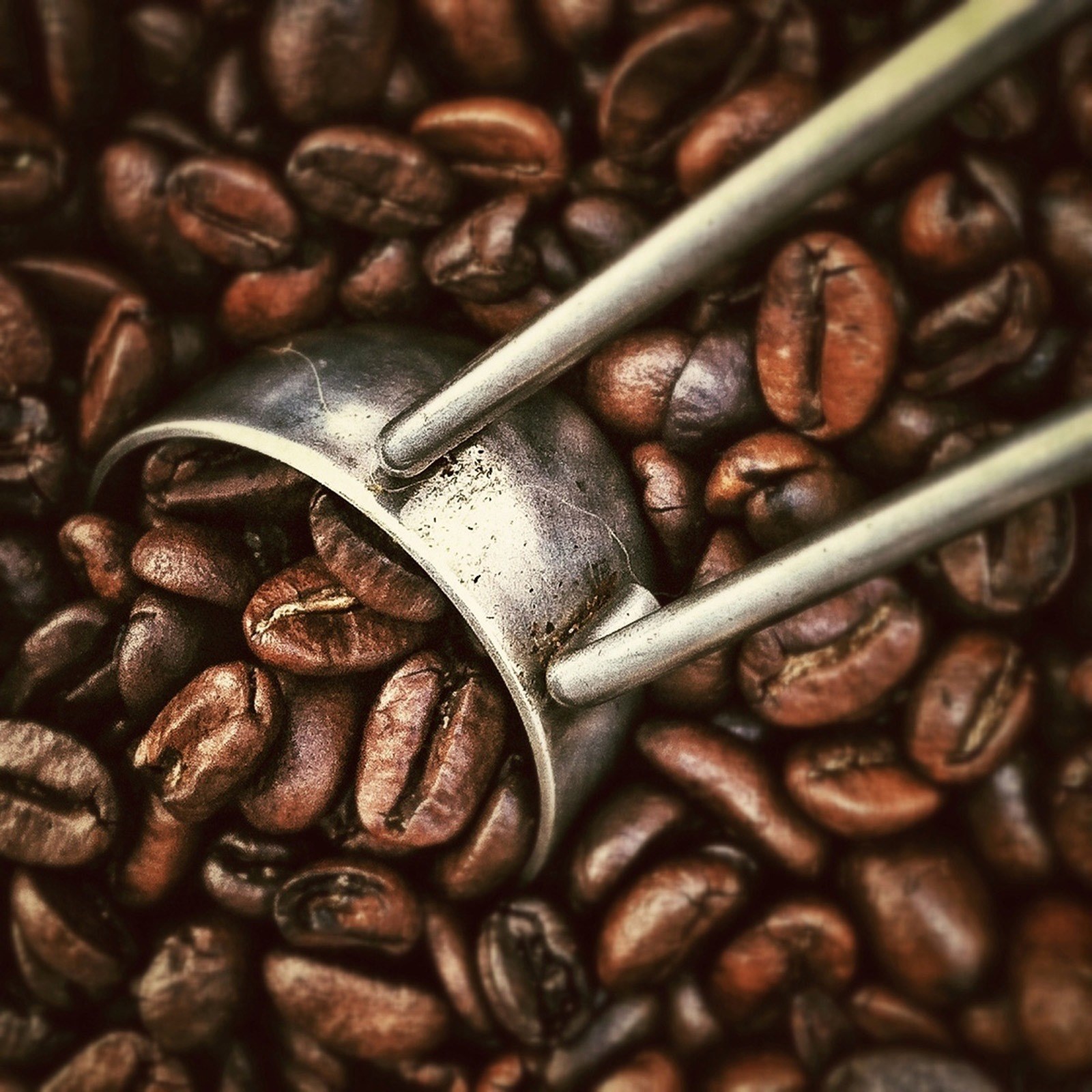 coffee beans beverages roasting grinder close 4k, Phone HD Wallpaper