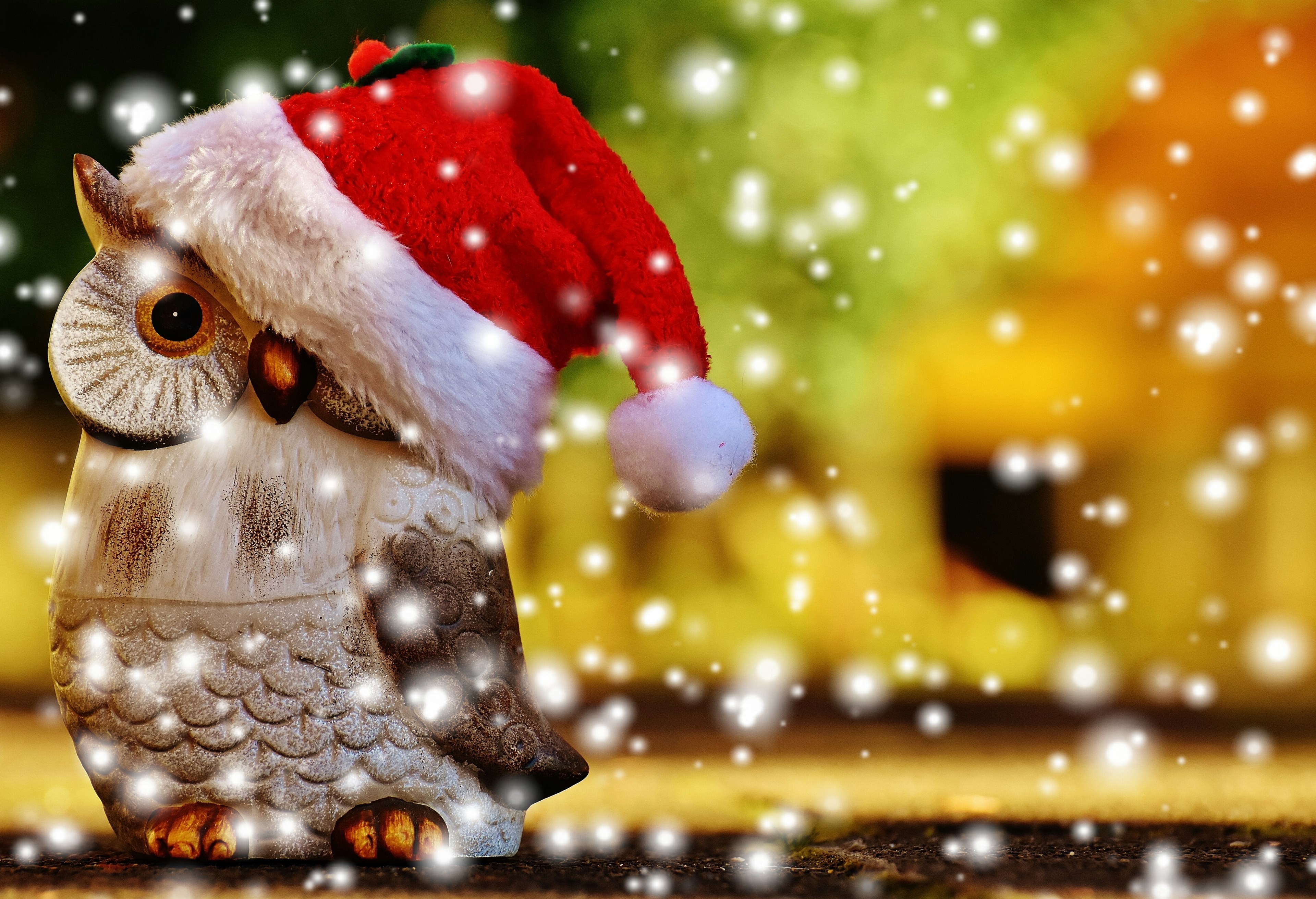 christmas owl santa hat snow contemplative figure 4k, HD Wallpaper