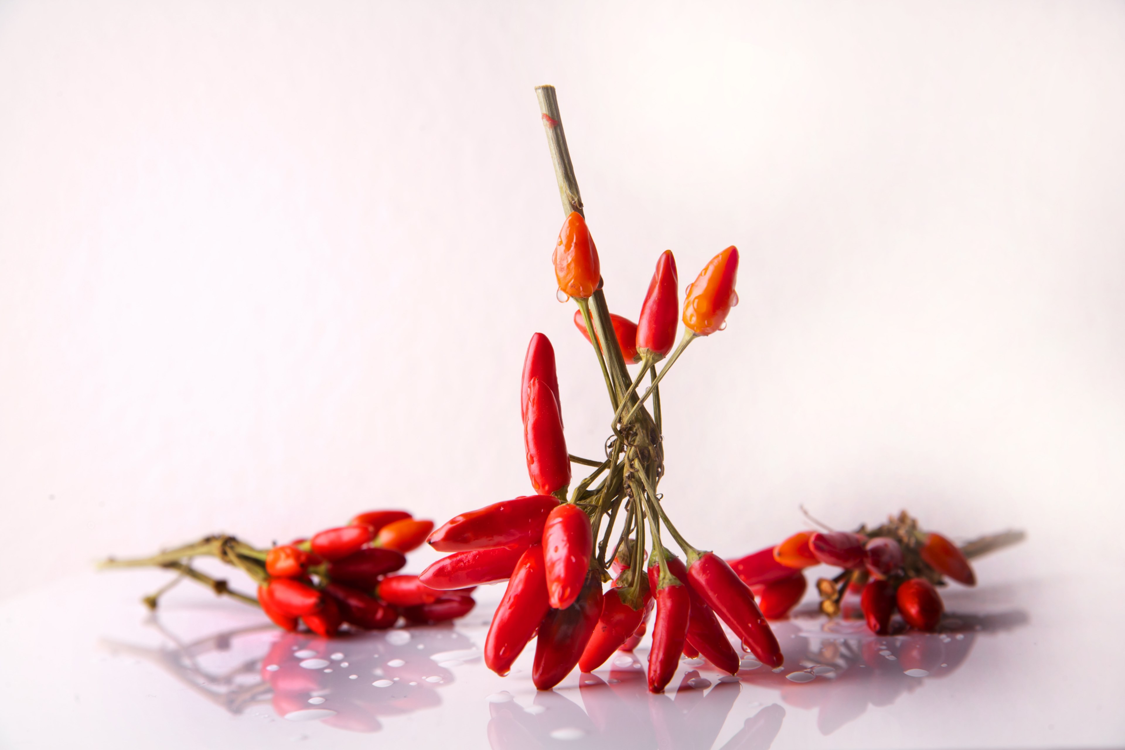 chili spice chili peppers red sharp food 4k, HD Wallpaper