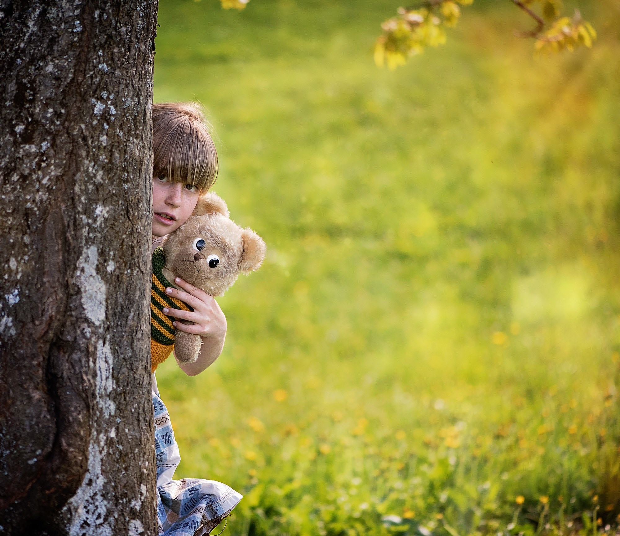 child person human girl teddy teddy bear 4k, HD Wallpaper