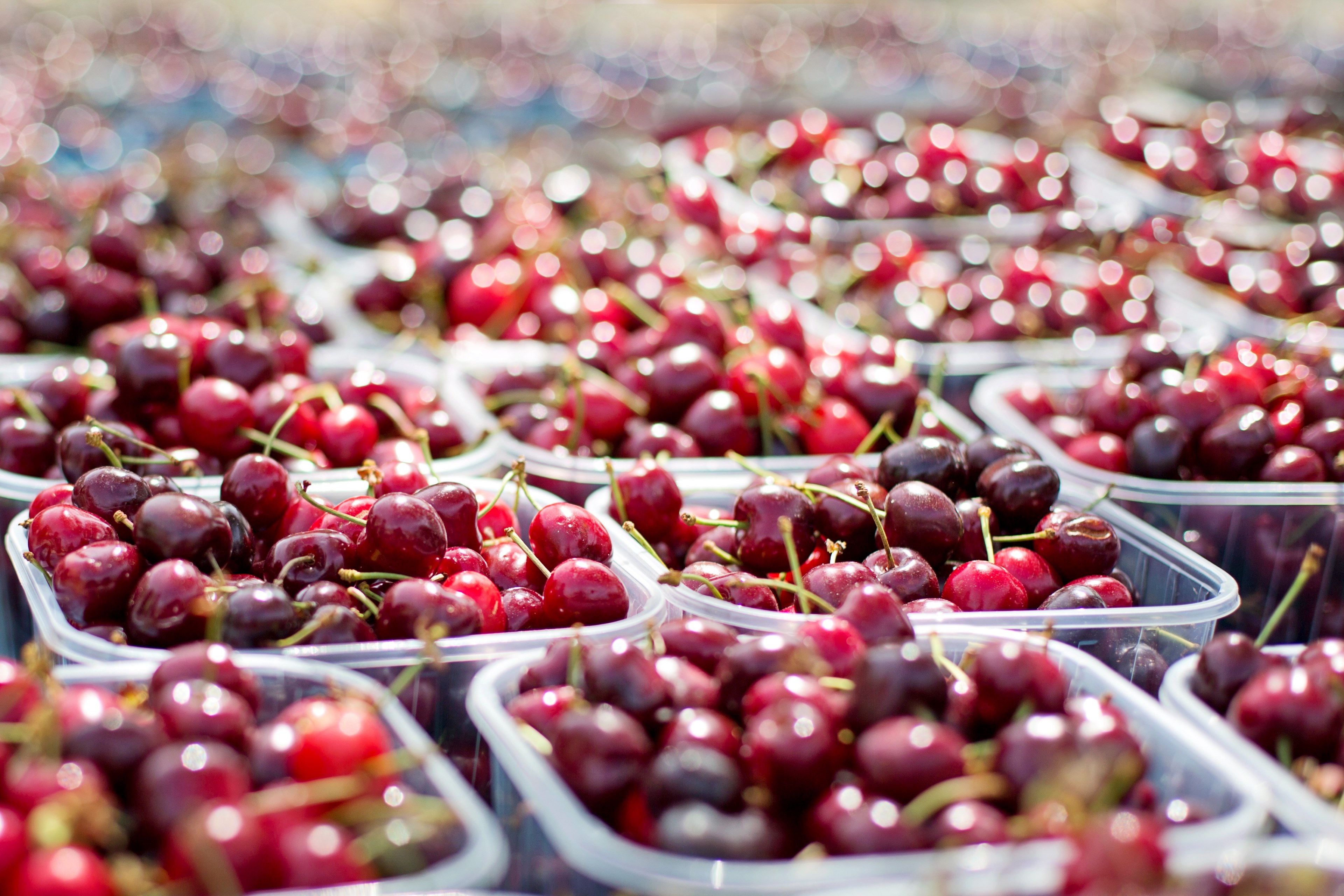 cherries tubs of cherries farmers market fruit red 4k, HD Wallpaper