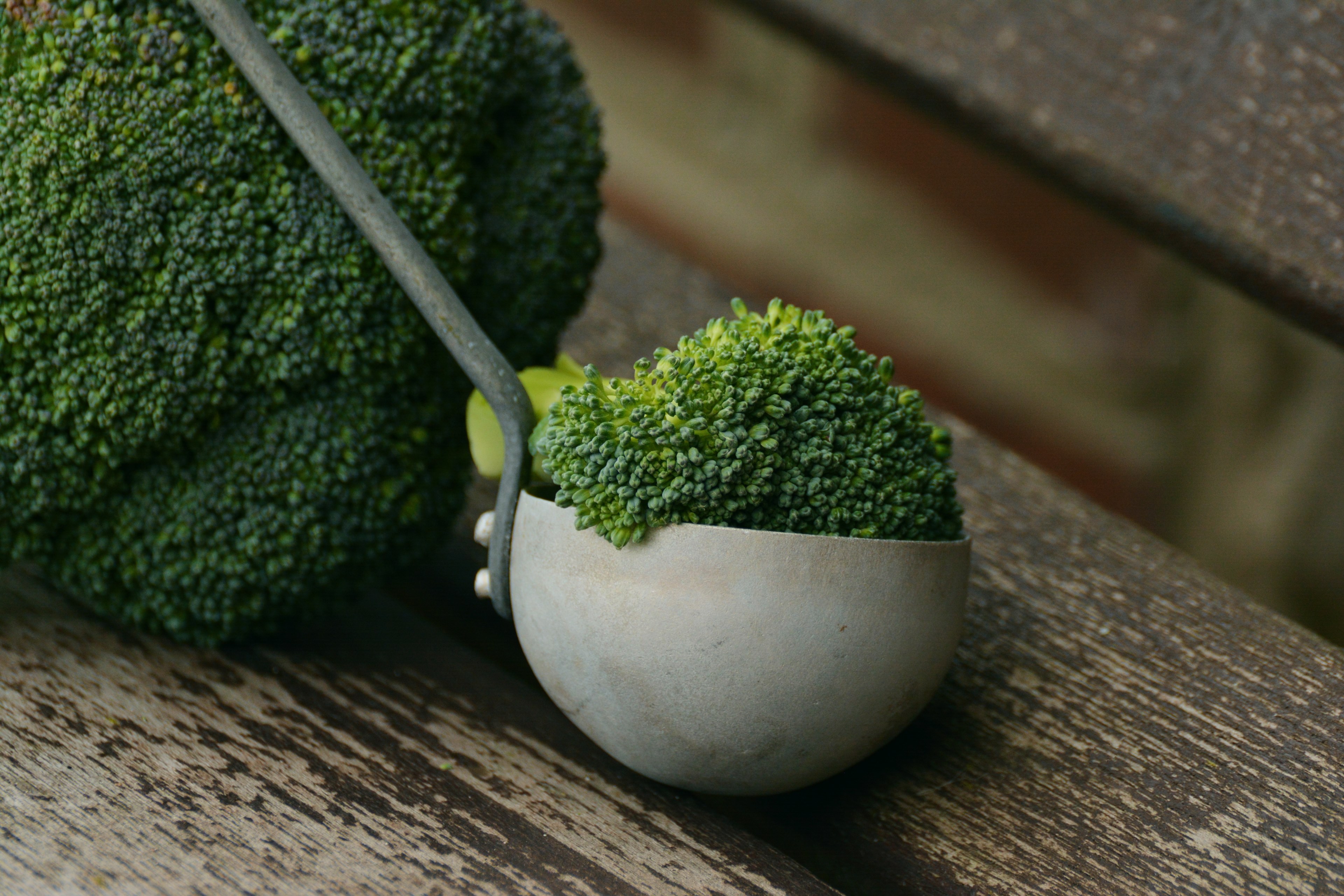 broccoli vegetables healthy cook nutrition frisch 4k, HD Wallpaper