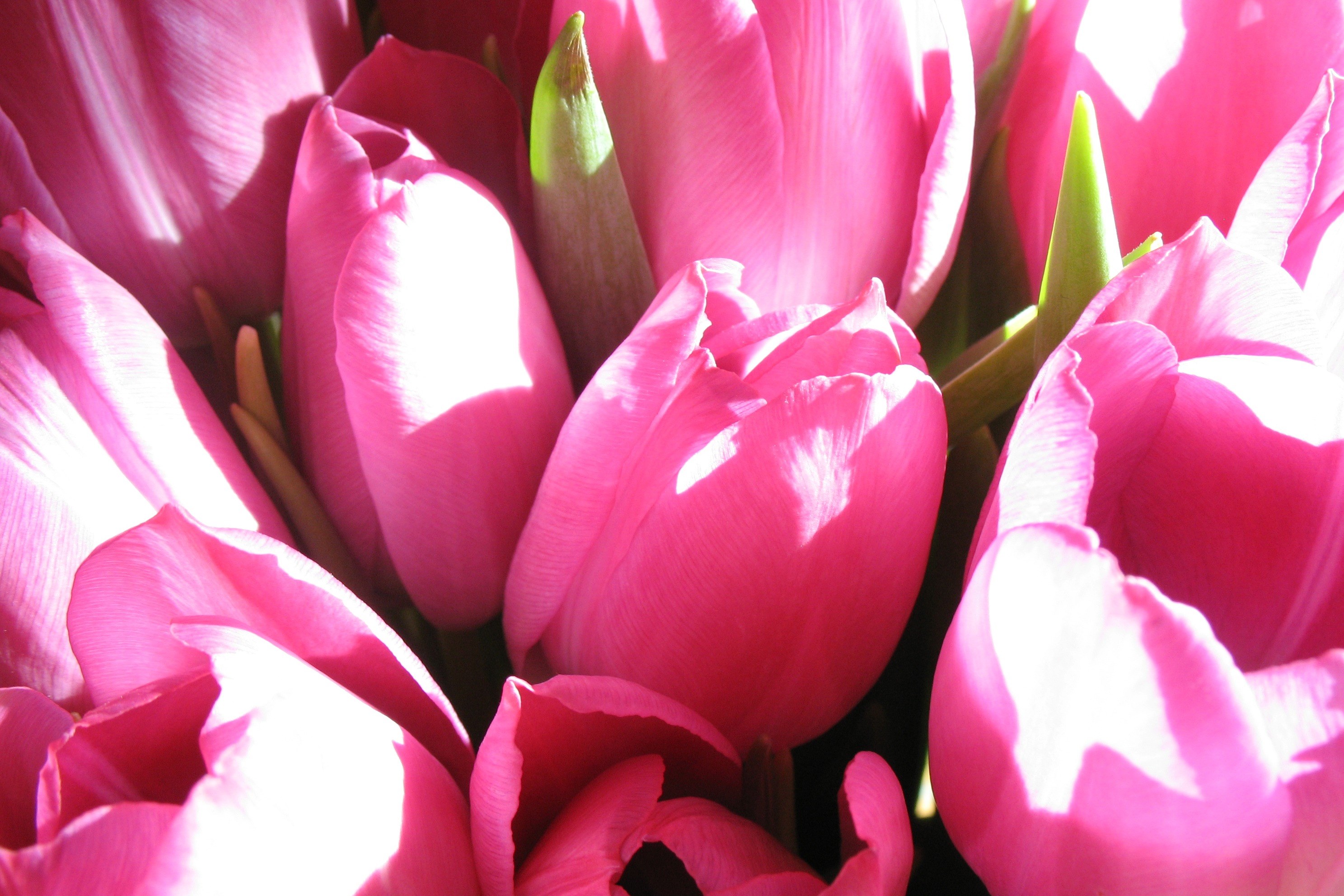 bouquet floral flowers fresh garden mothers day 4k, HD Wallpaper