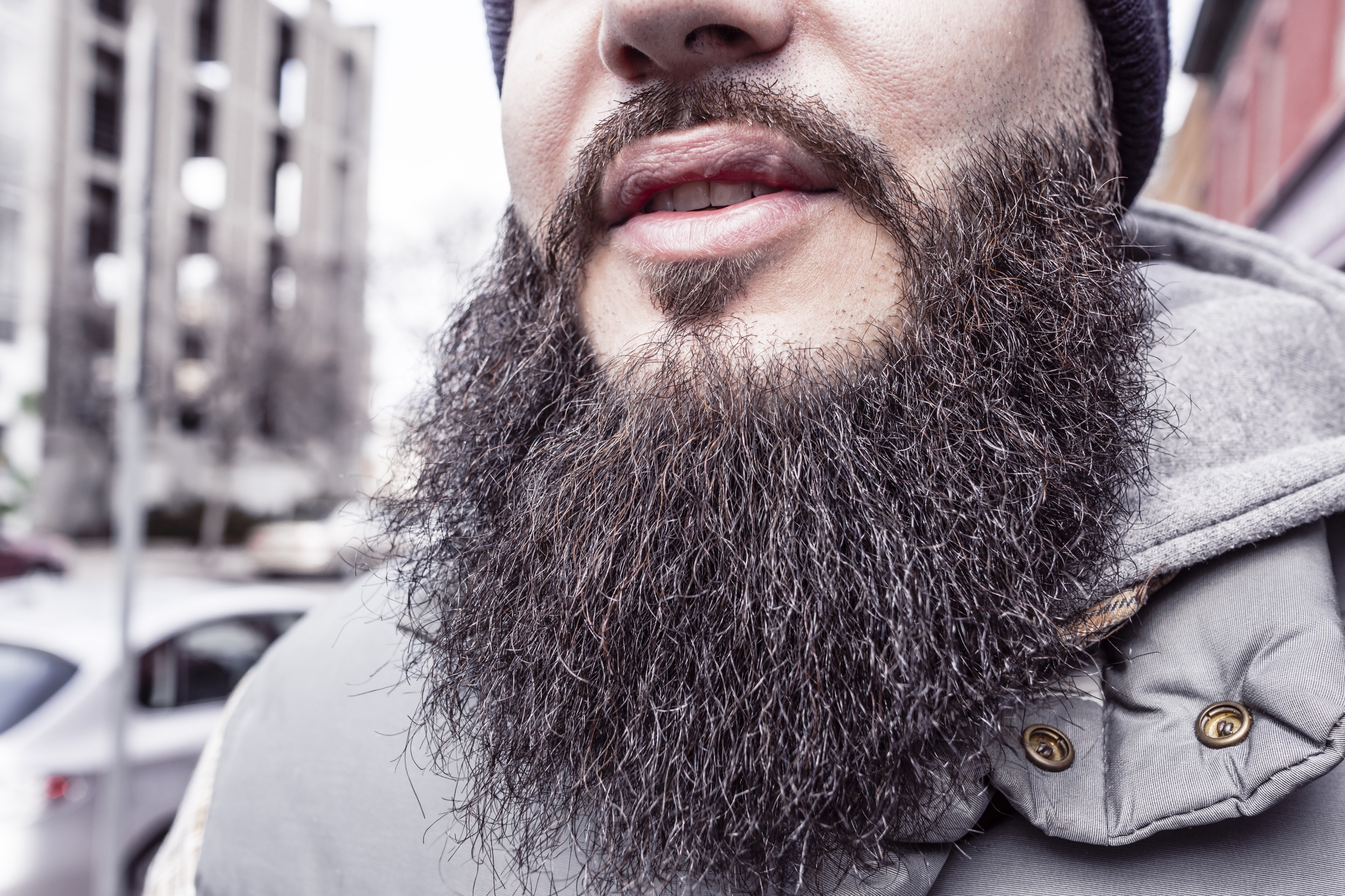 beard hair jacket face guy man 4k, HD Wallpaper