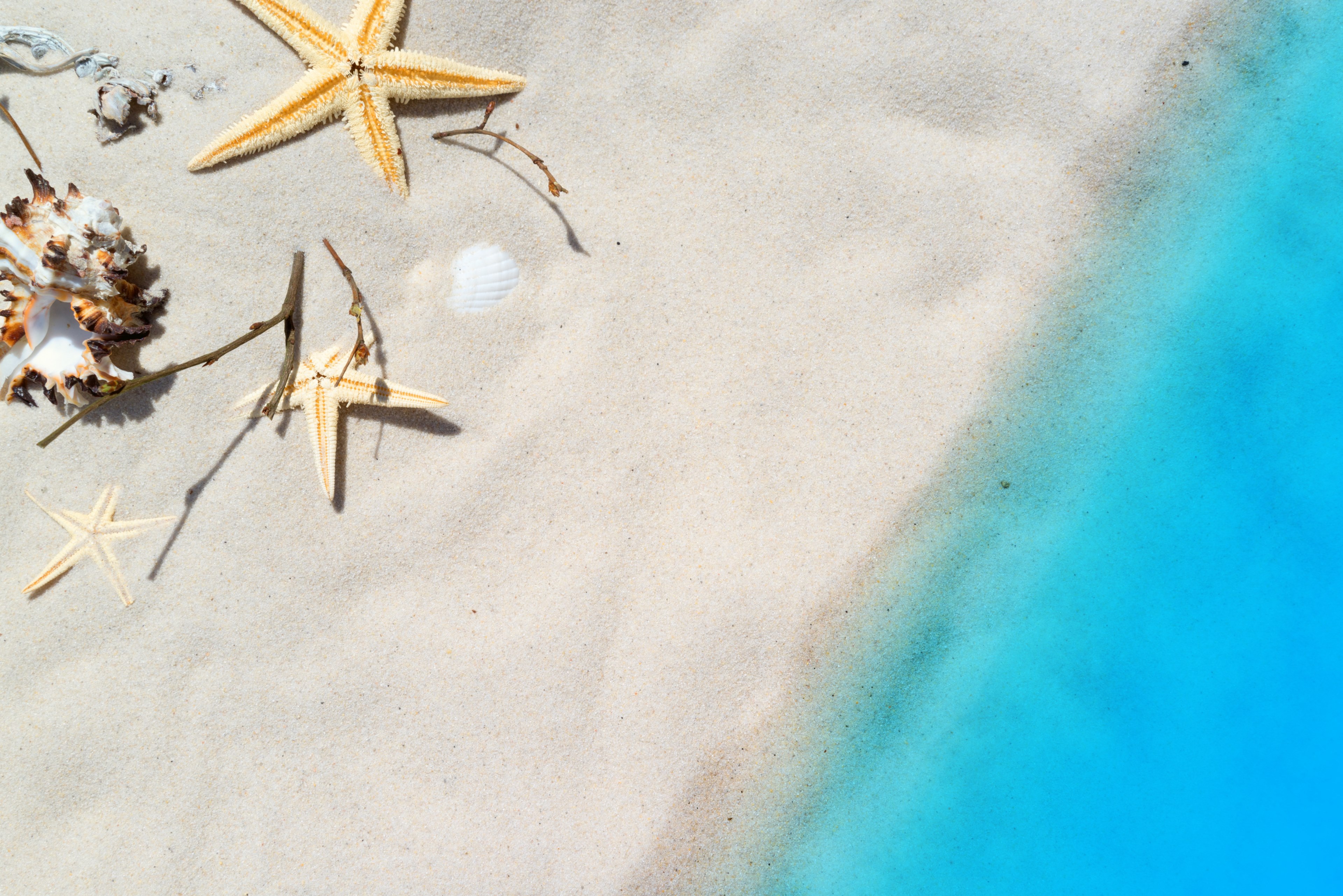 beach holiday sea summer mussels relaxation sand 4k, HD Wallpaper