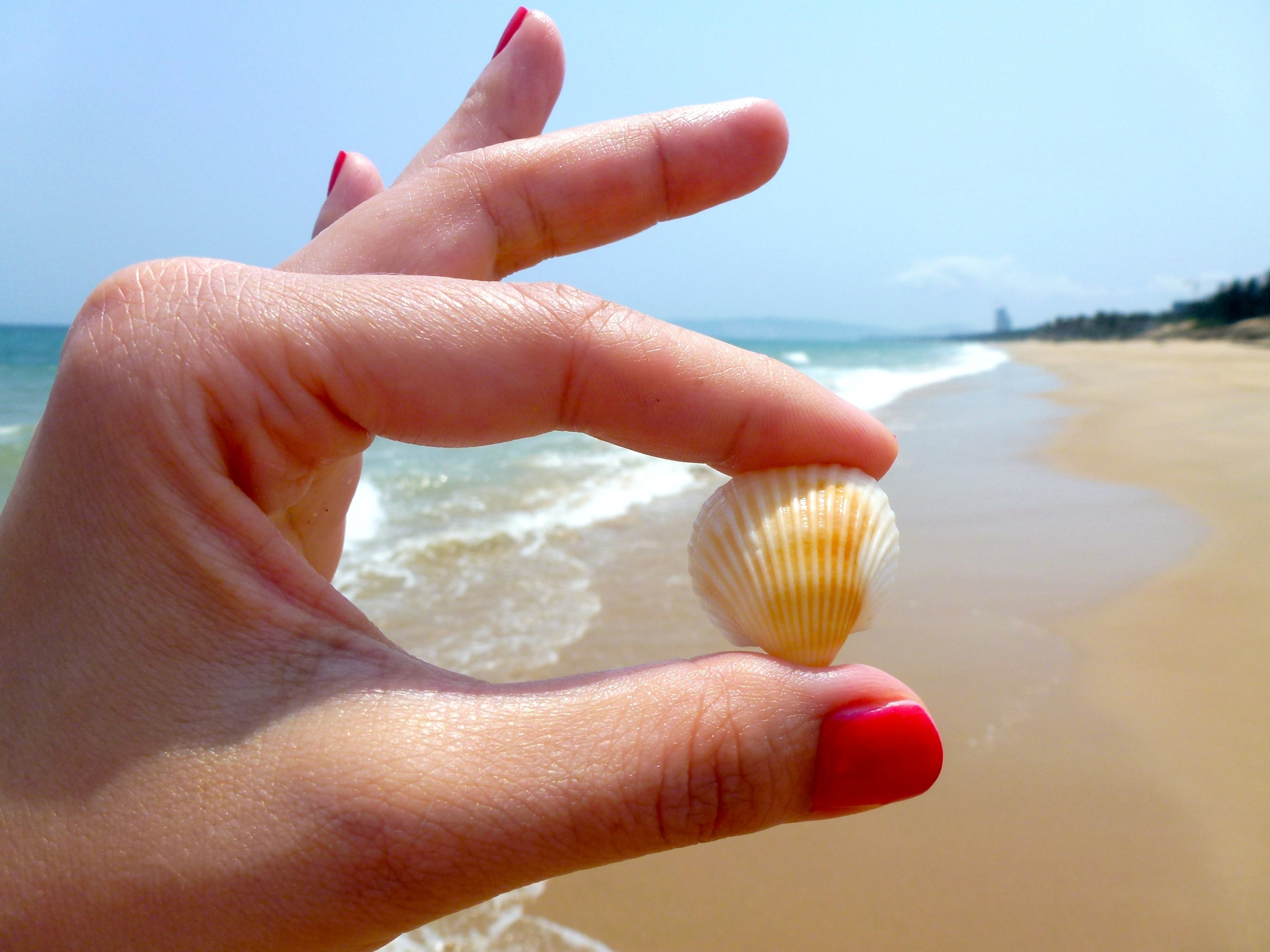 beach seashell toenail varnish hands the nail 4k, HD Wallpaper