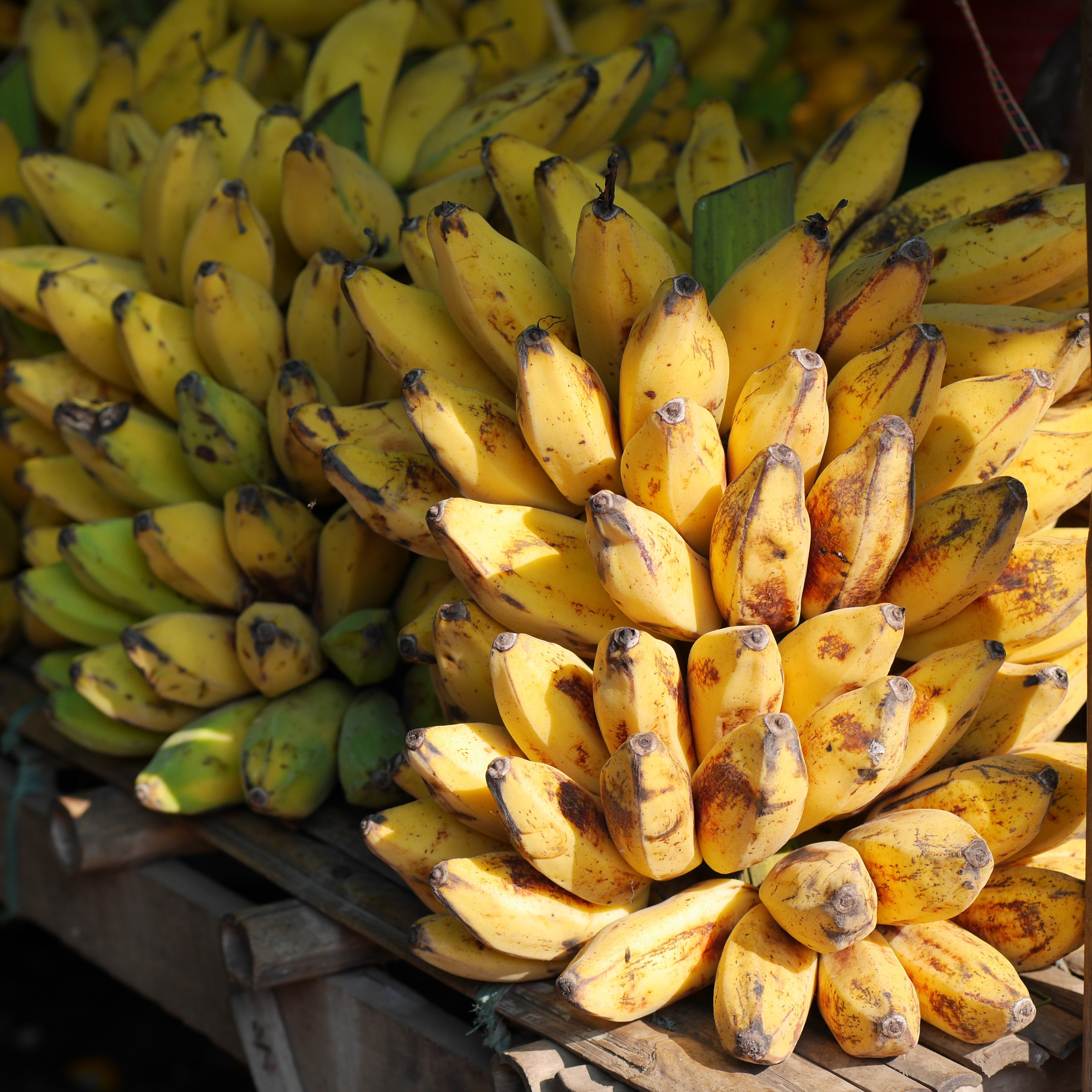 bananas banana shrub fruits yellow food burma 4k, Phone HD Wallpaper