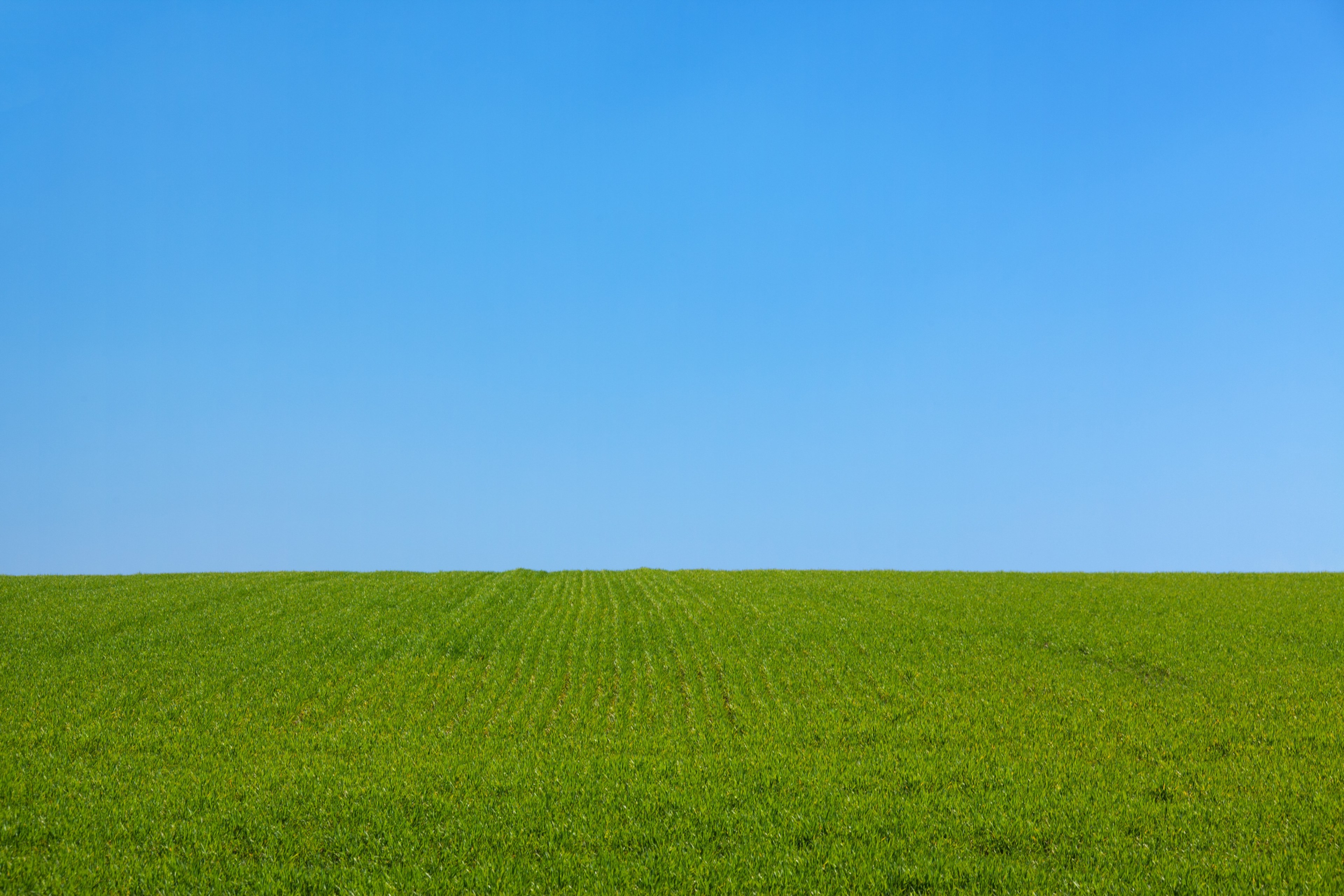 background blue clean clear day field freedom 4k, HD Wallpaper