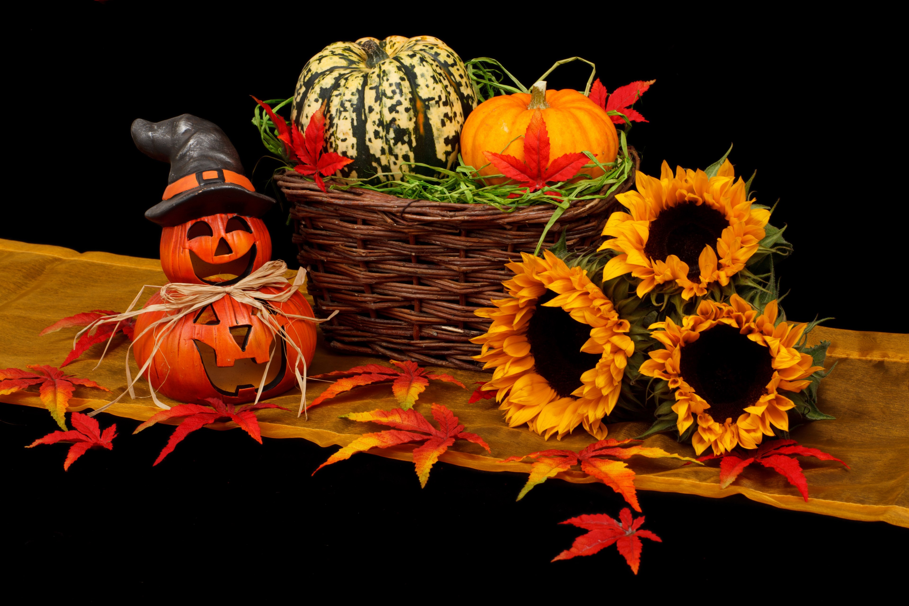 autumn black dark decoration fall halloween 4k, HD Wallpaper