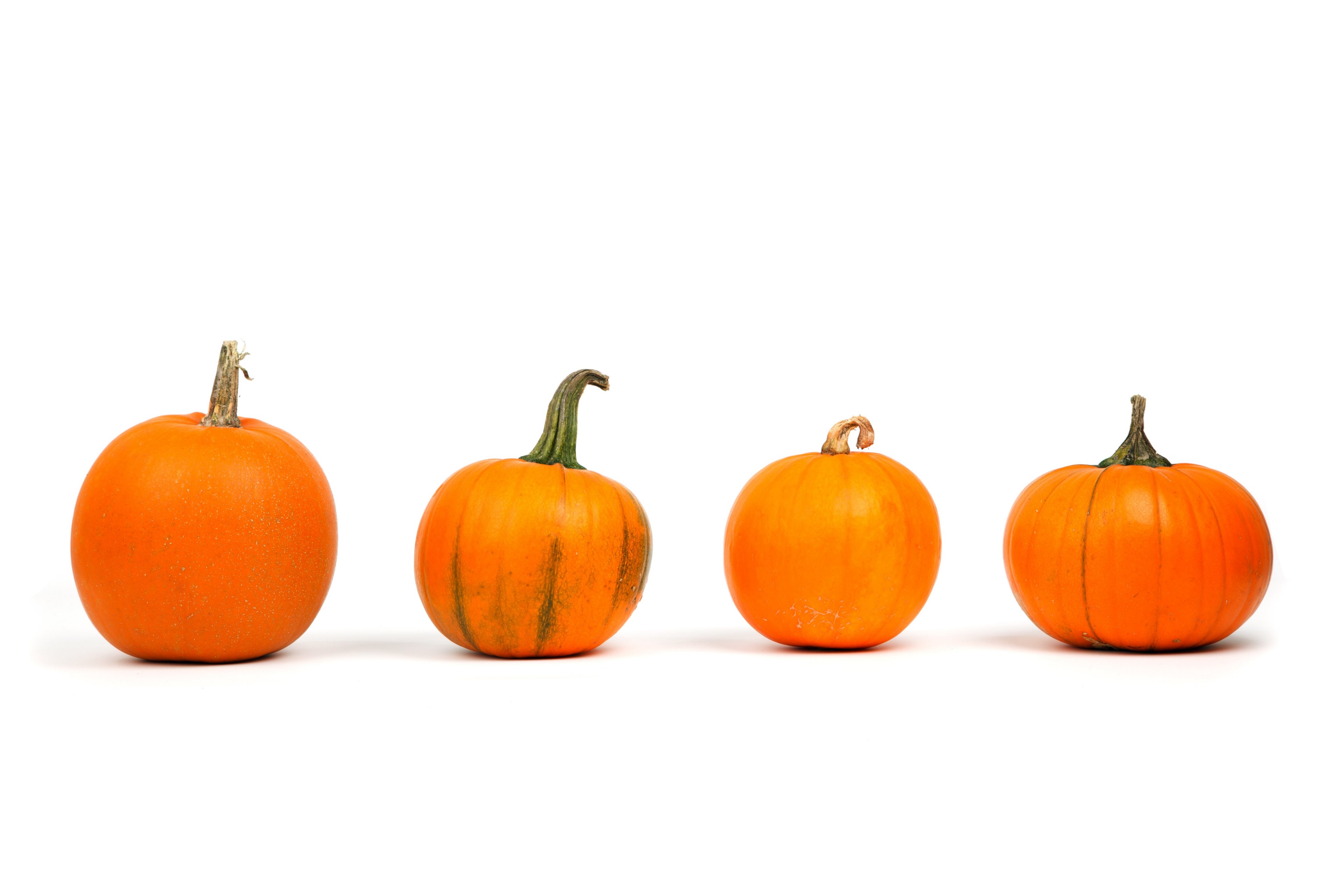 autumn decoration fall food fresh freshness 4k, HD Wallpaper