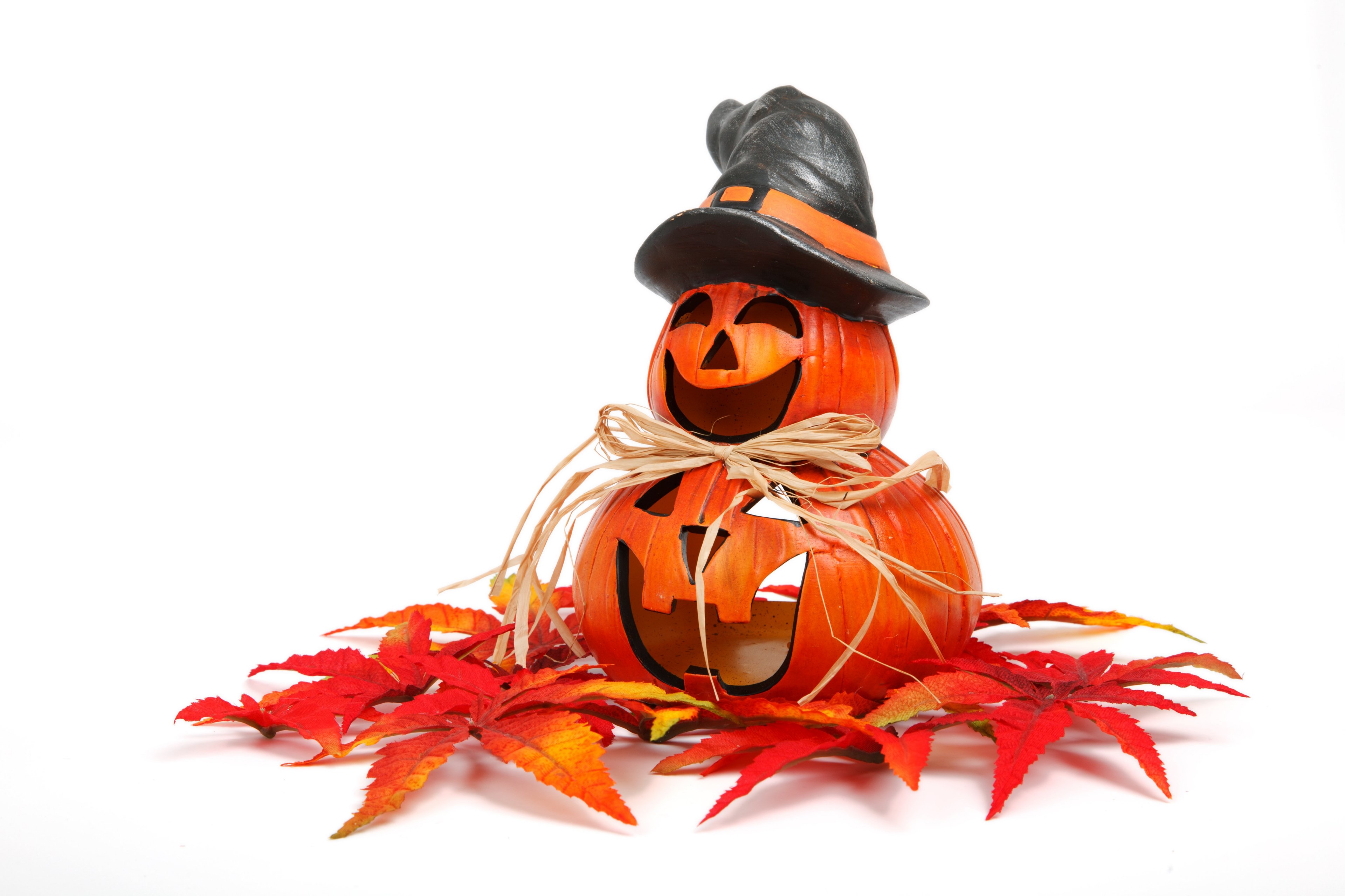 autumn decoration face fall funny gourd halloween 4k, HD Wallpaper