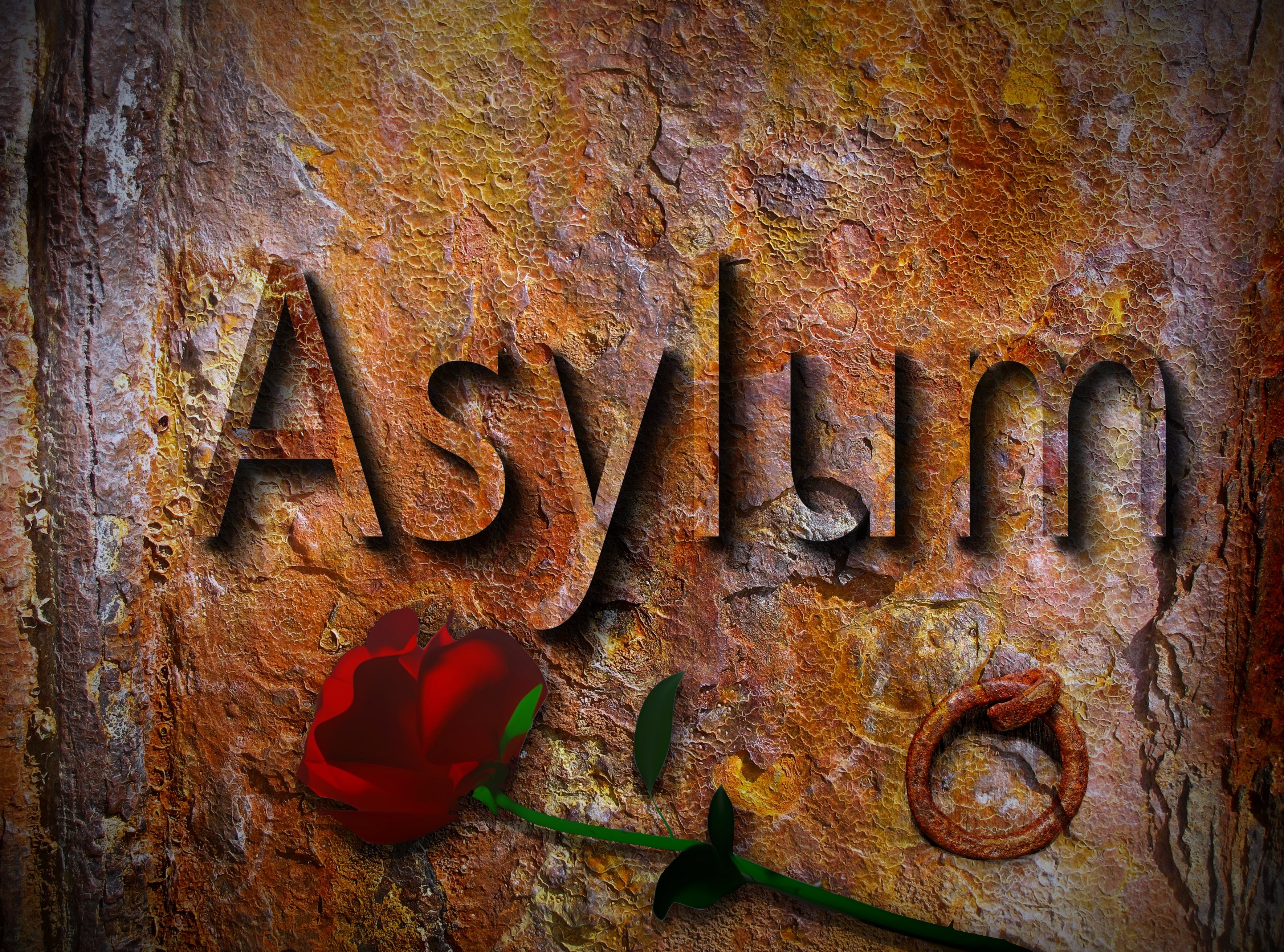 asylum refugees tracking help protection shelter 4k, HD Wallpaper