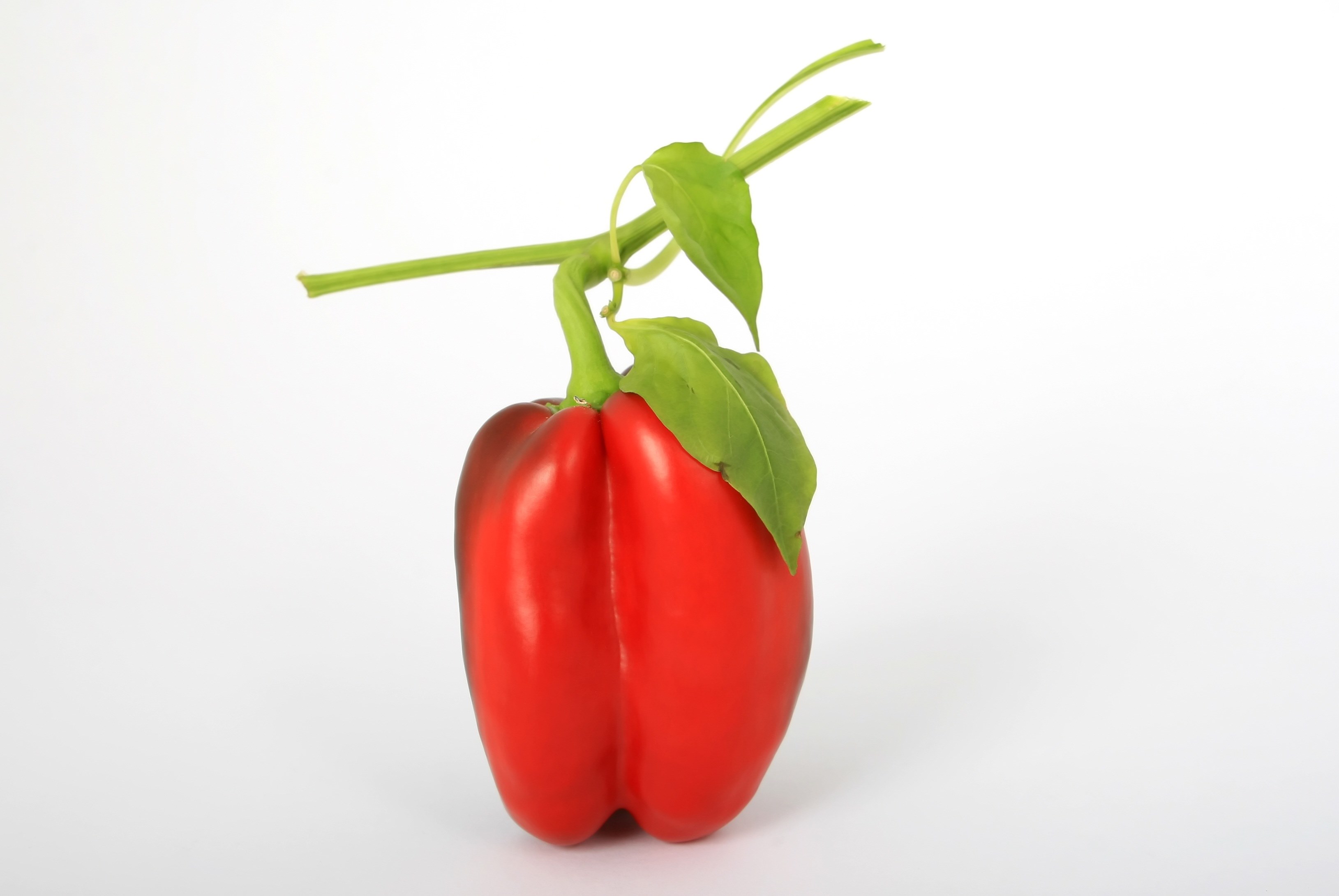 appetite calories closeup close up colorful 4k, HD Wallpaper