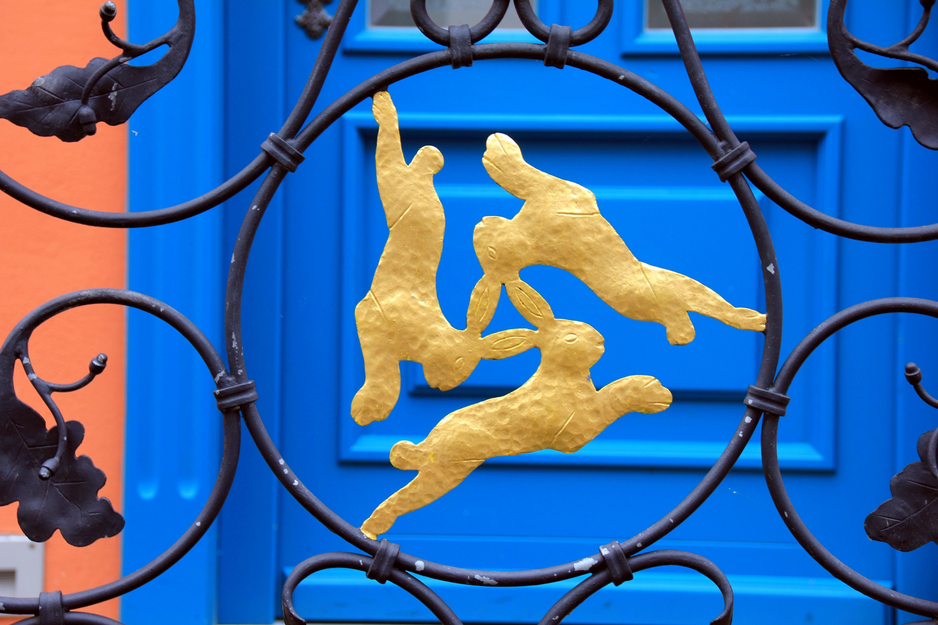 animal hare hare window gold 4k, HD Wallpaper