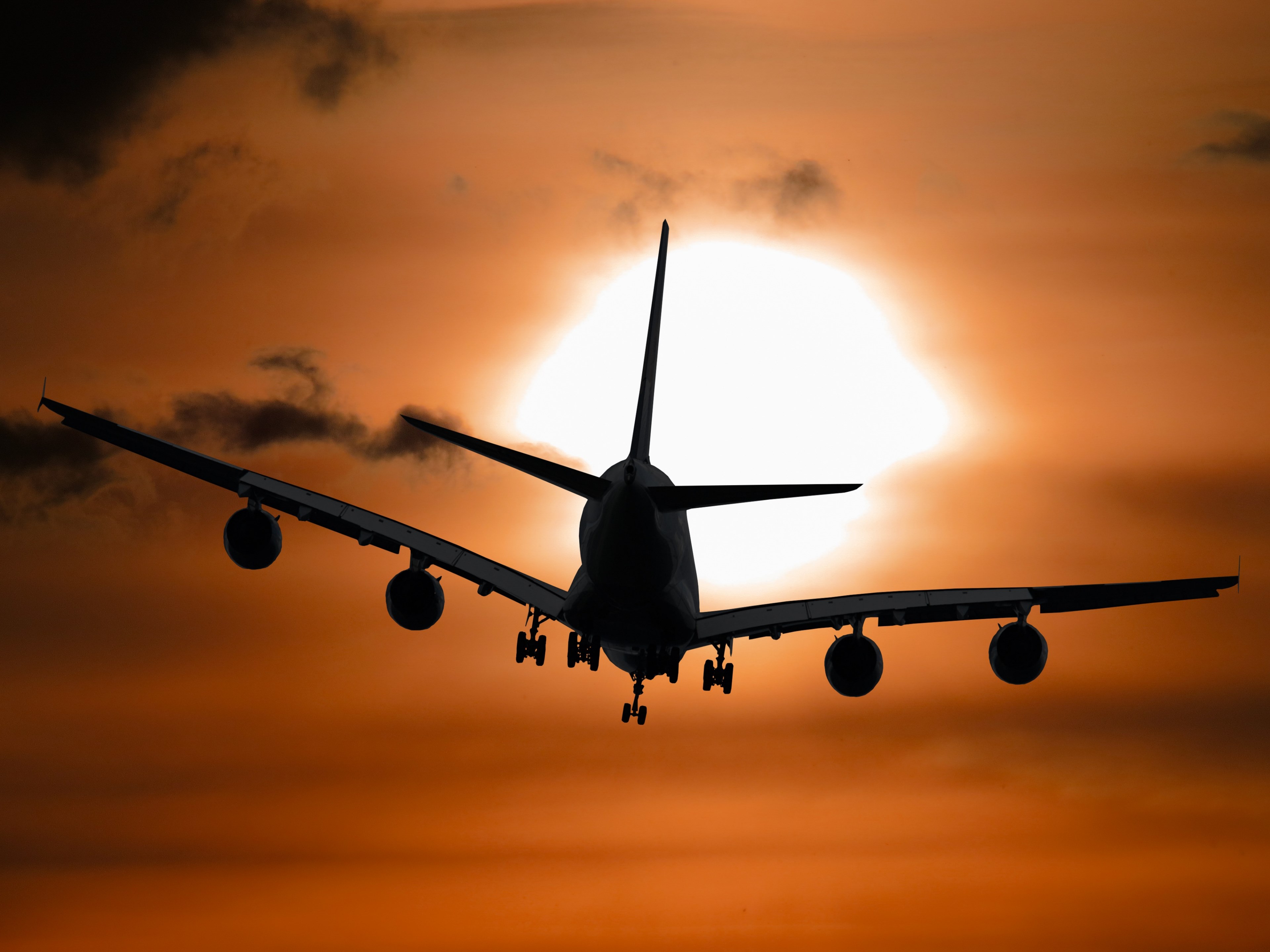 aircraft holiday sun tourism summer summer holiday 4k, HD Wallpaper