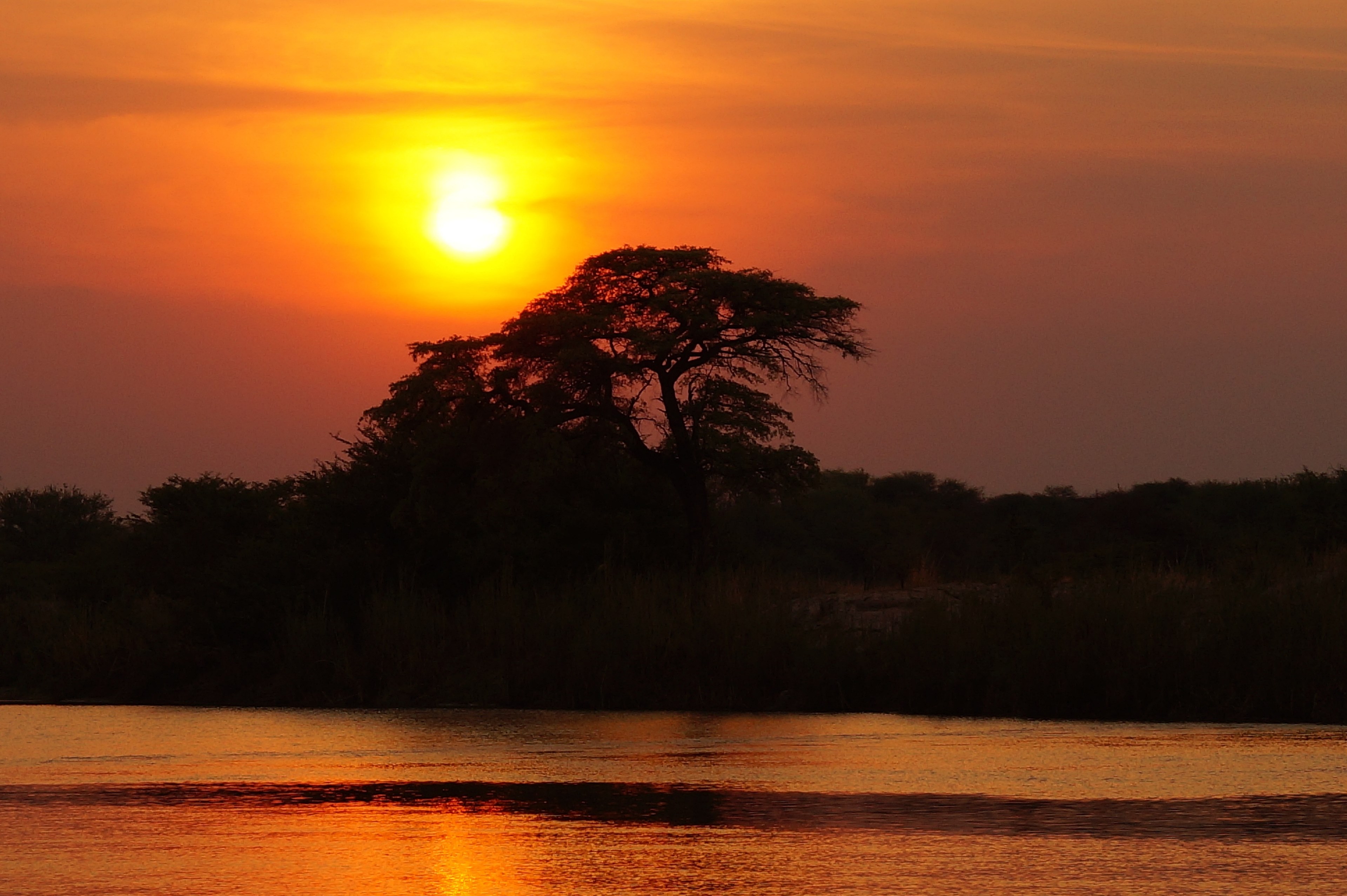 africa twilight botswana okavango delta sunset 4k, HD Wallpaper