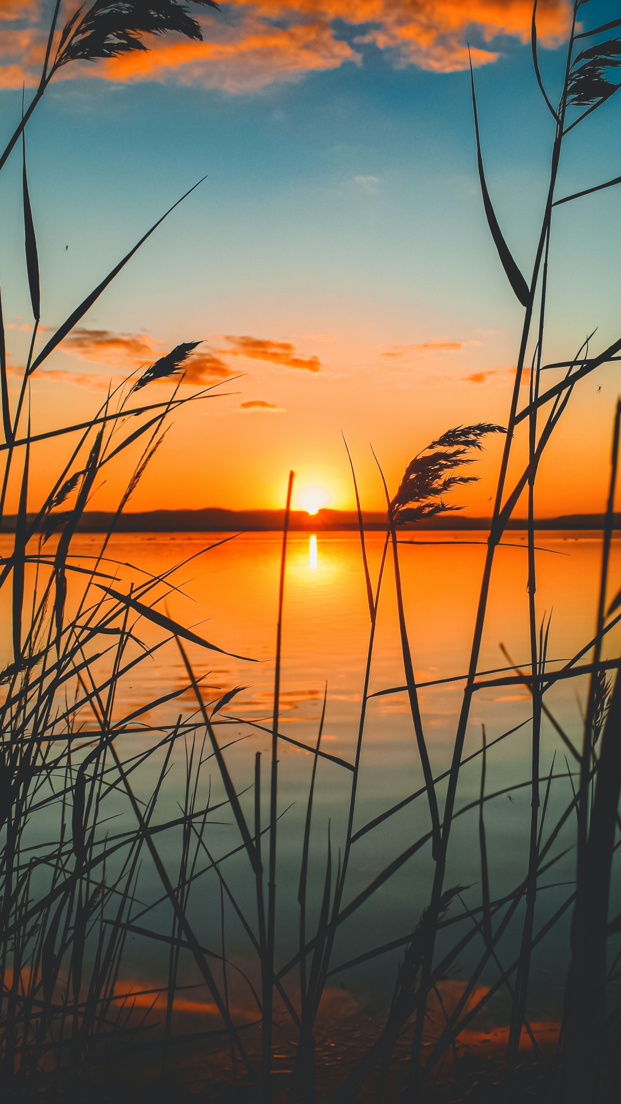Earth Sunset, Nature, 2160x3840, Phone HD Wallpaper