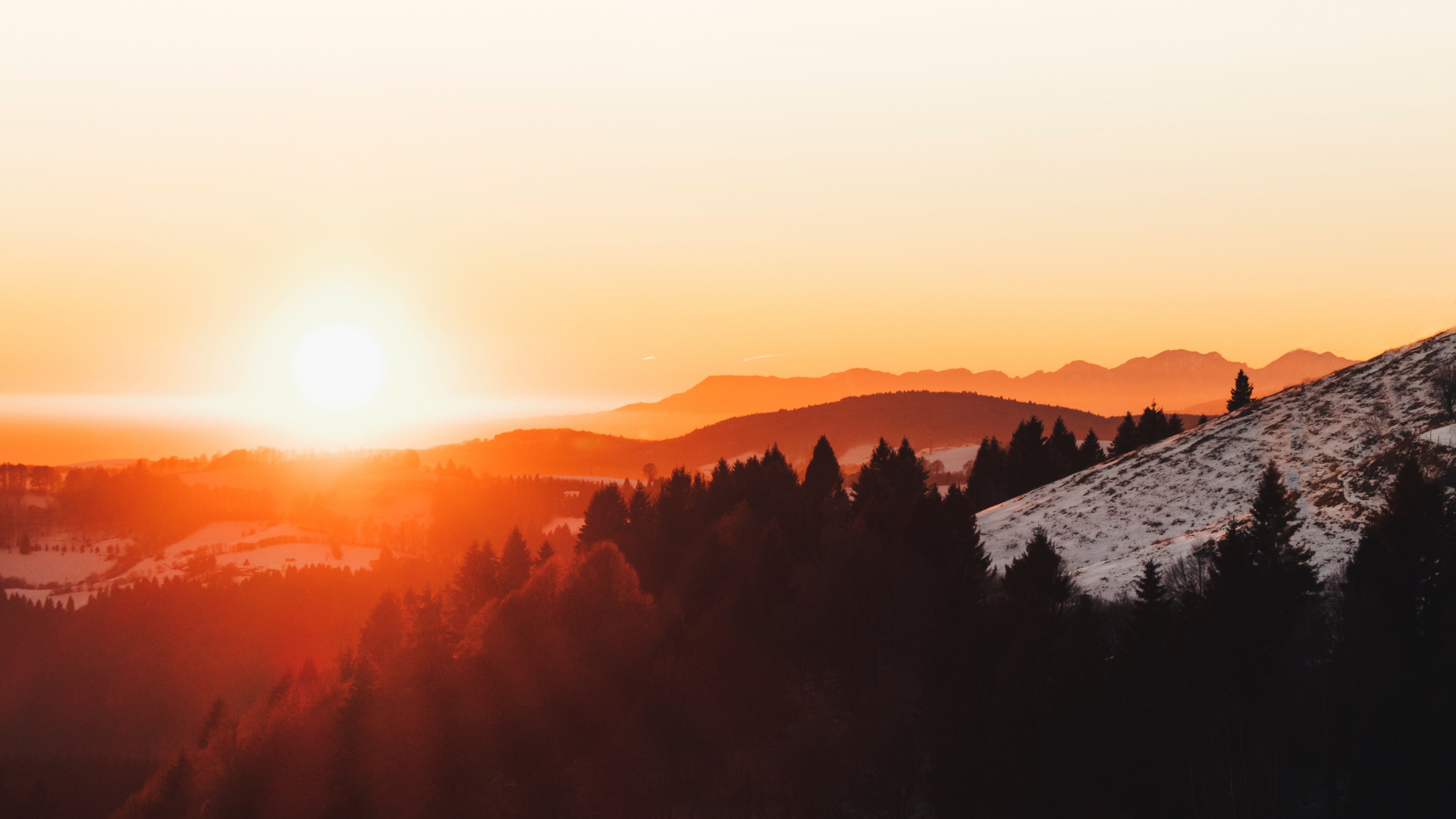 sunset, forest, snow, 4K, HD Wallpaper