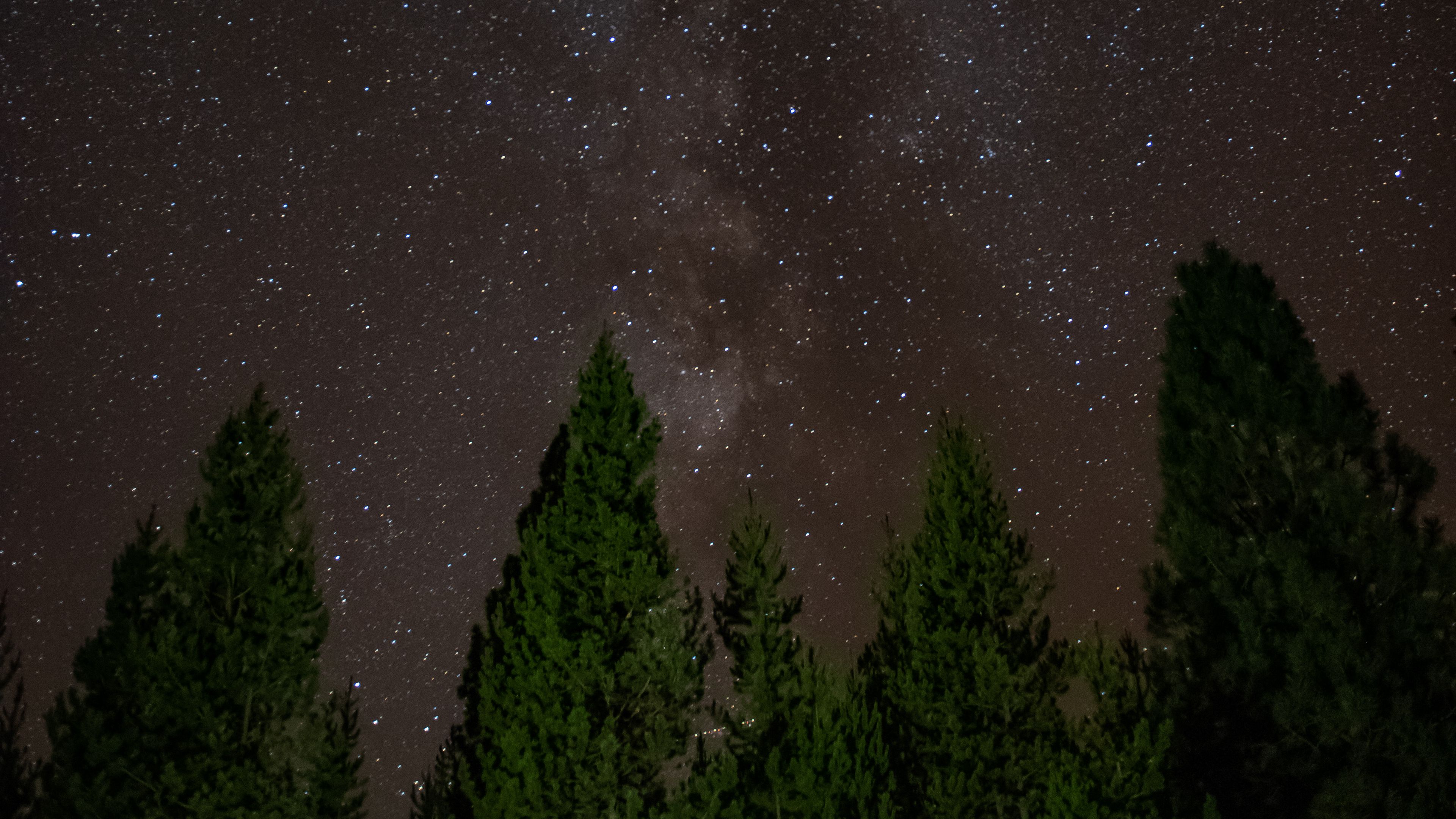 starry sky, trees, stars, 4k, HD Wallpaper